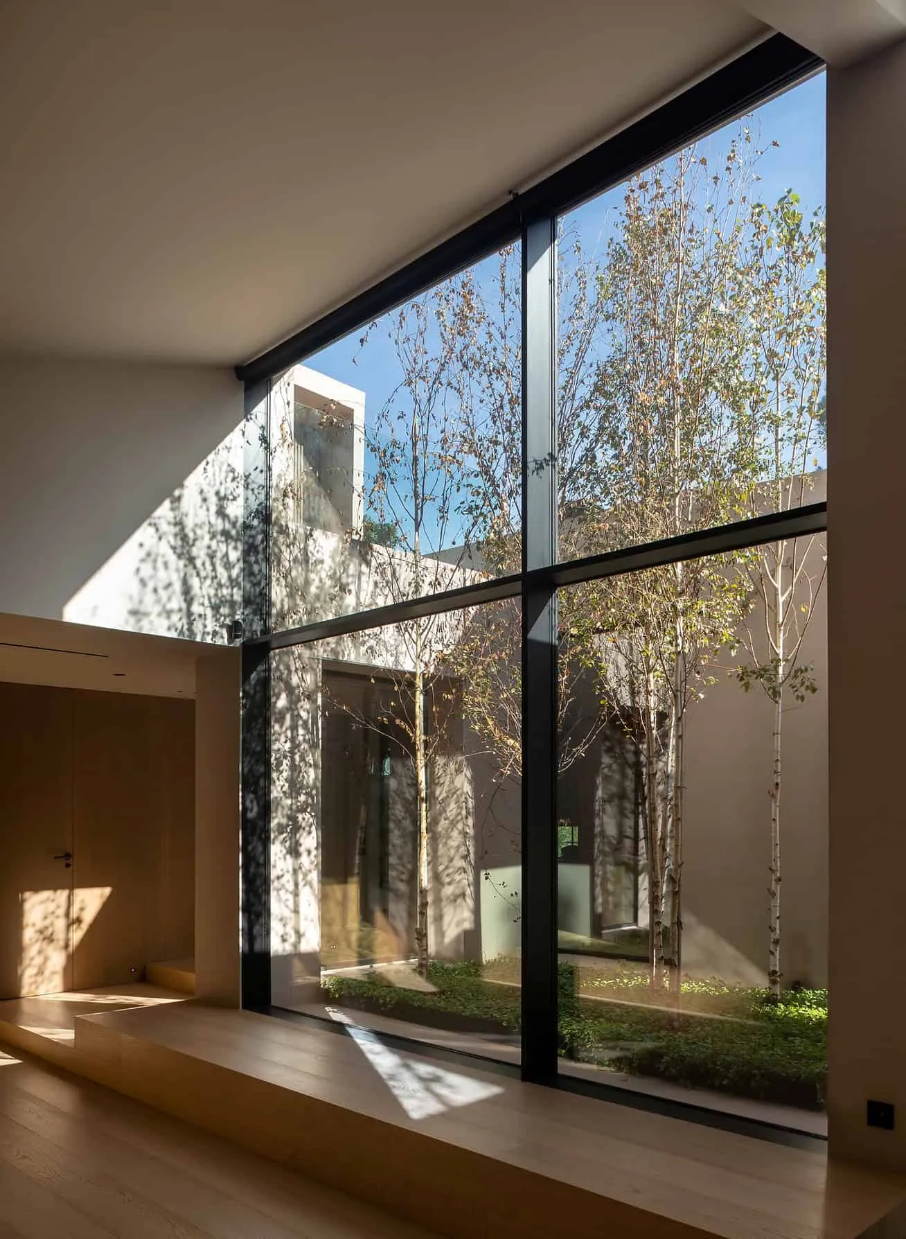 内院配有垂直树木，四周由玻璃墙环绕。