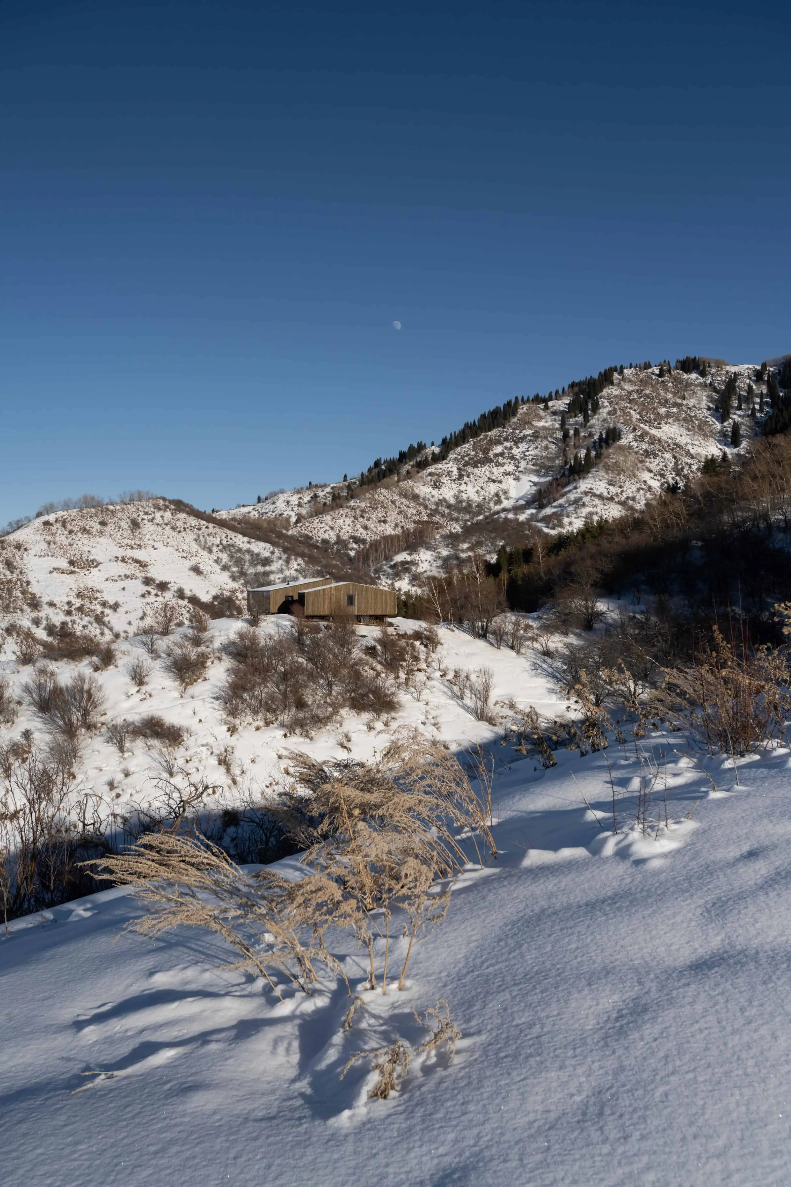 哈萨克斯坦雪地山区的阿姆小屋，与自然和谐共存。