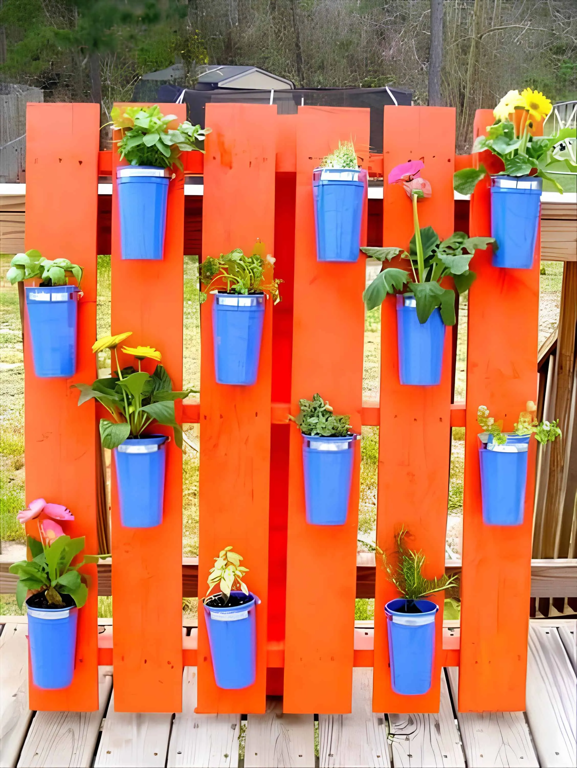 橙色托盘，配有蓝色塑料杯，用作小型草本和花卉花盆