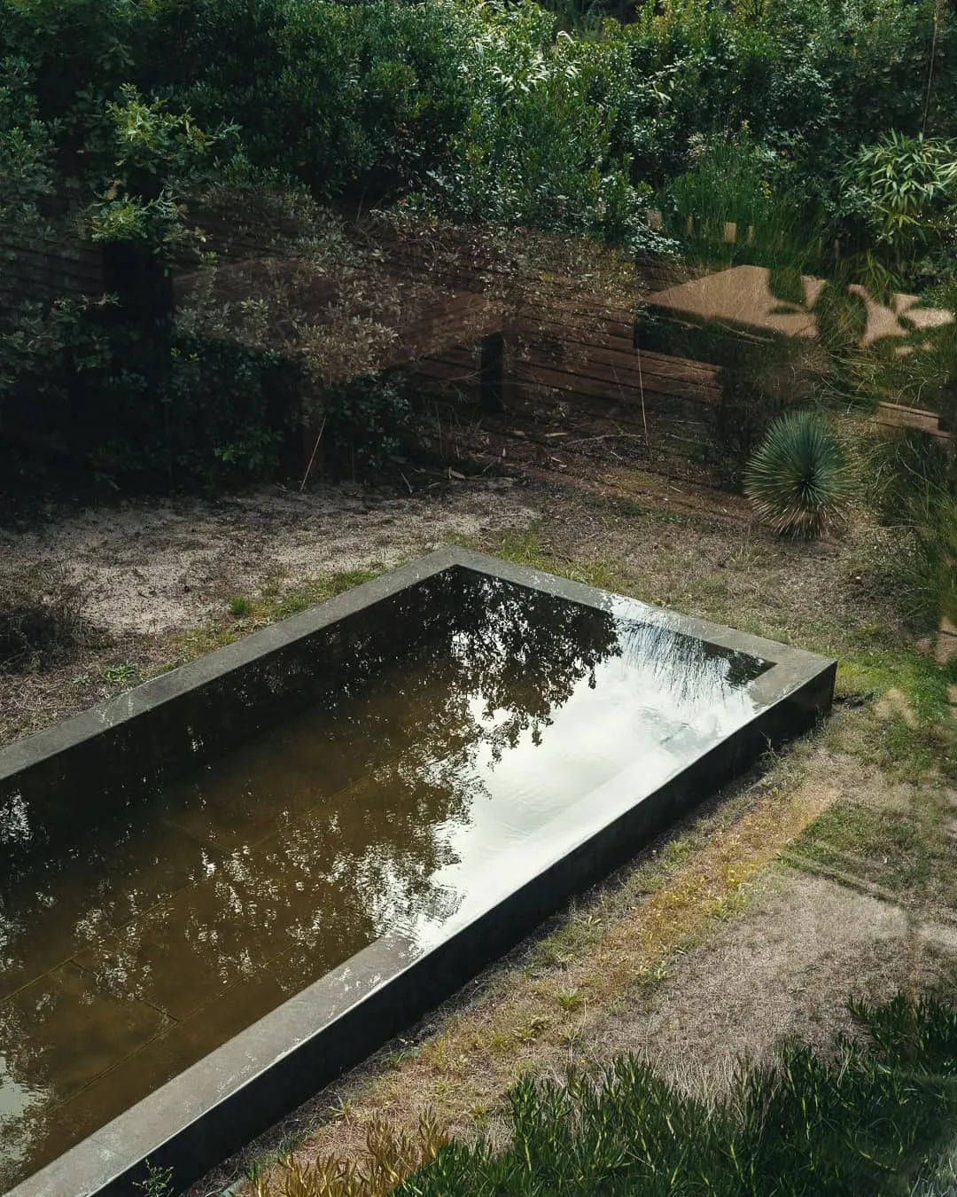 兰迪的现代木屋由Mod Cobet设计 被当地植被环绕的反射泳池。