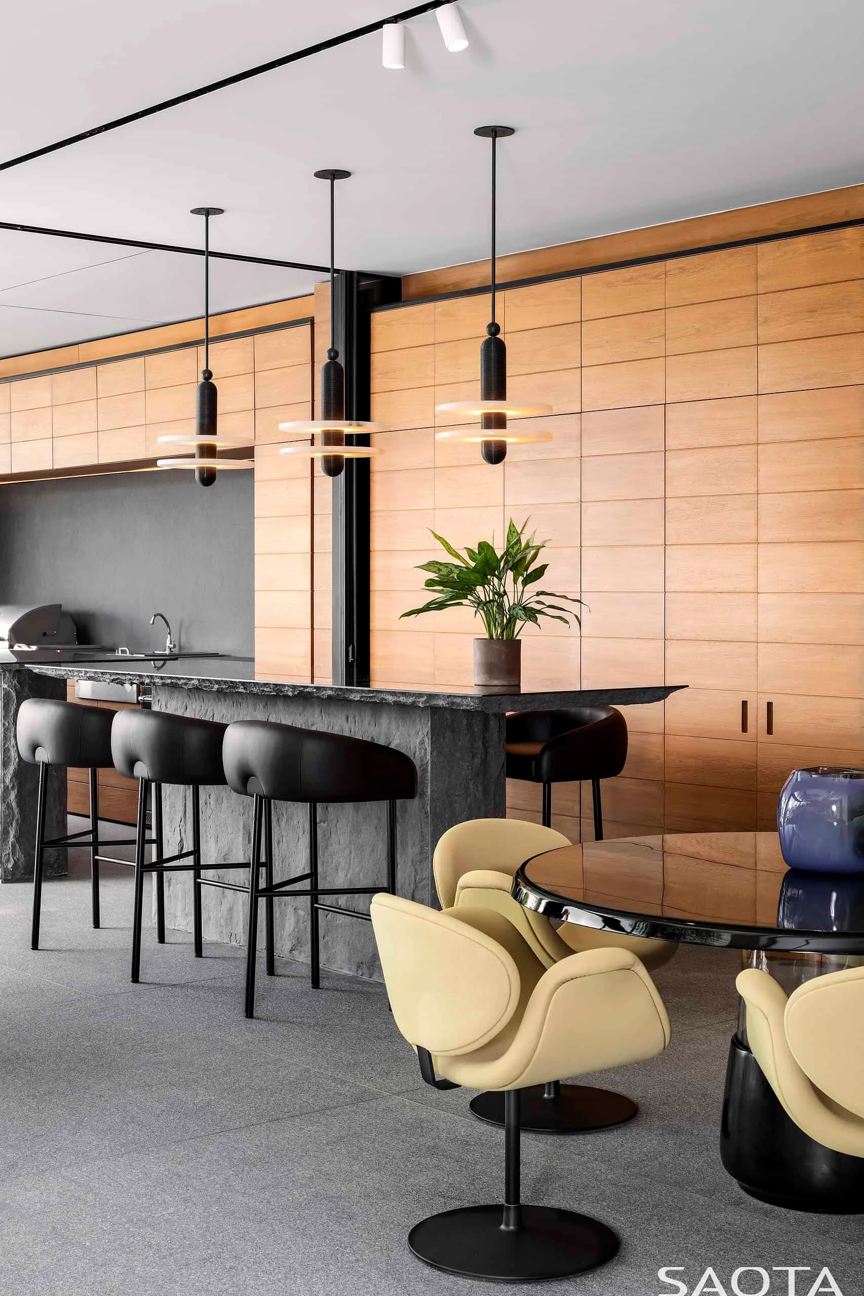 阿比让湖畔别墅由SAOTA设计：现代主义与自然的融合