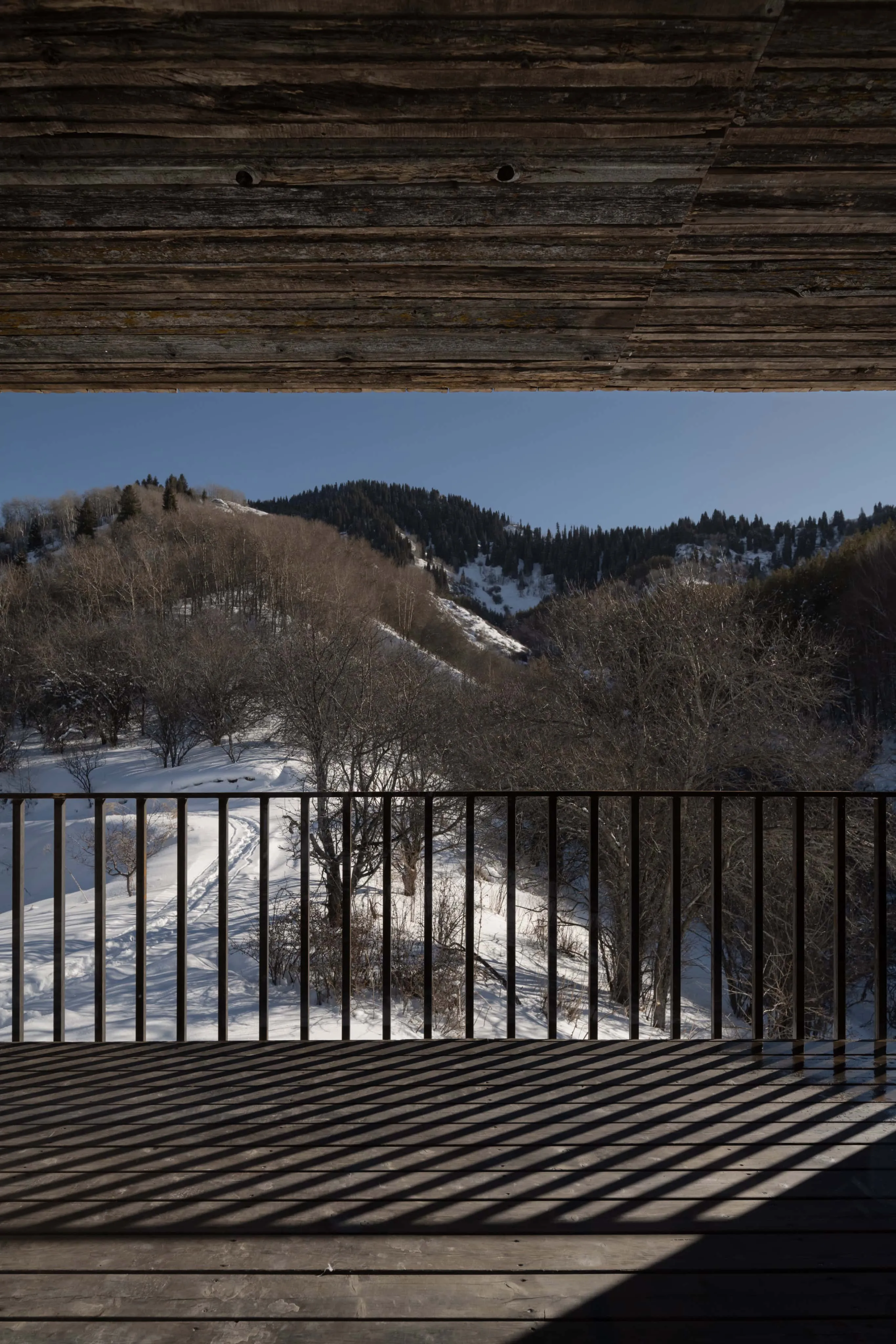 阿姆小屋阳台阴影中的山景。