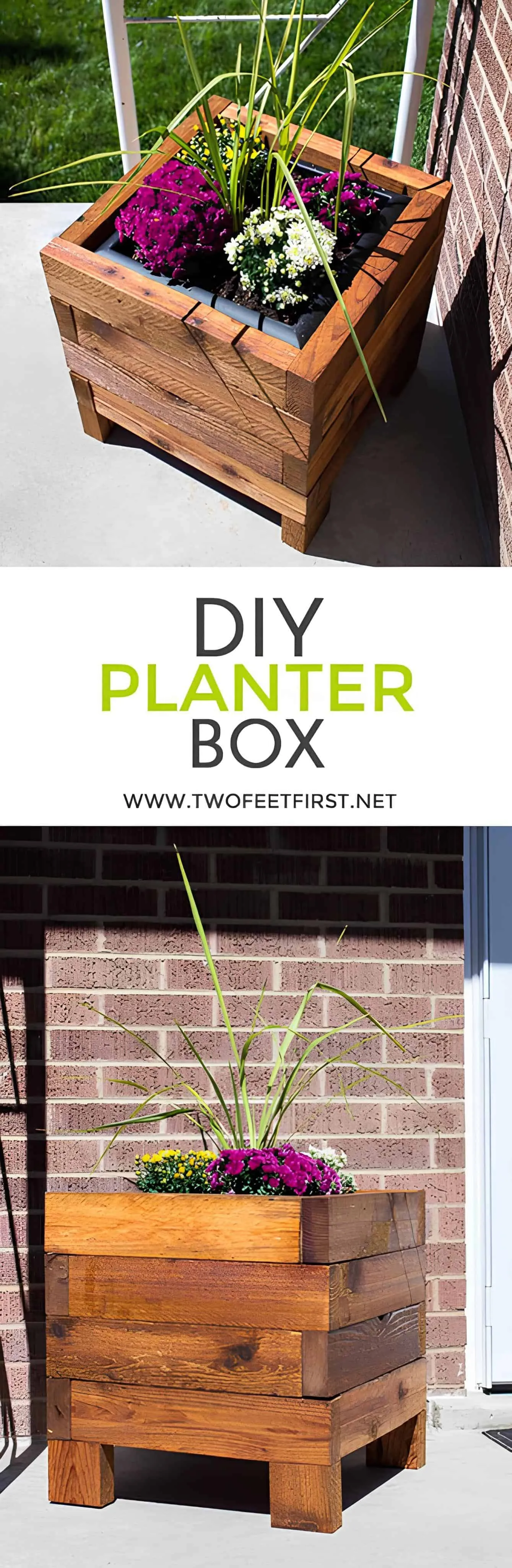 现代叠层花盆，配有仙人掌和酒杯