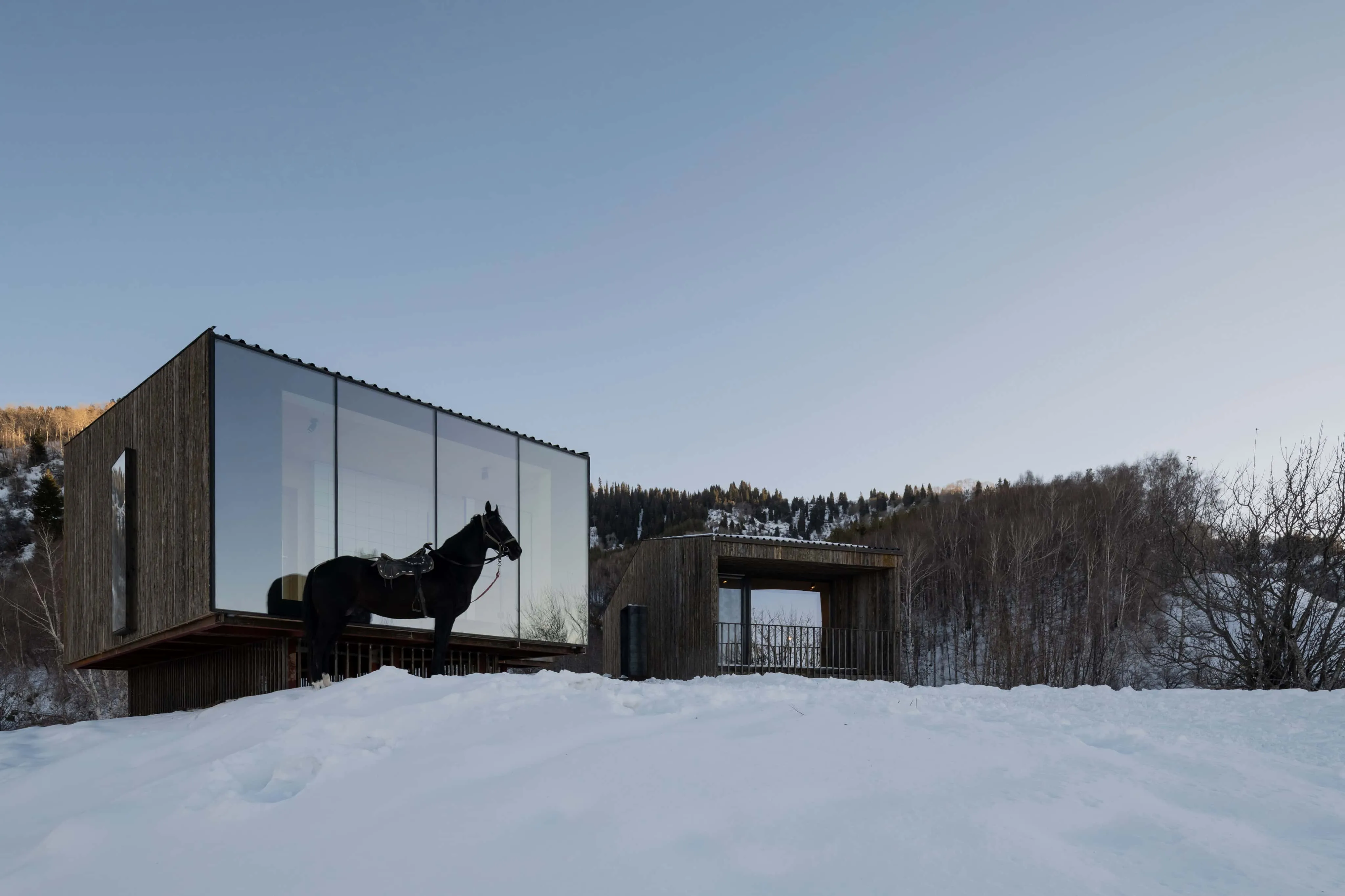 现代玻璃小屋前有一匹黑色马。