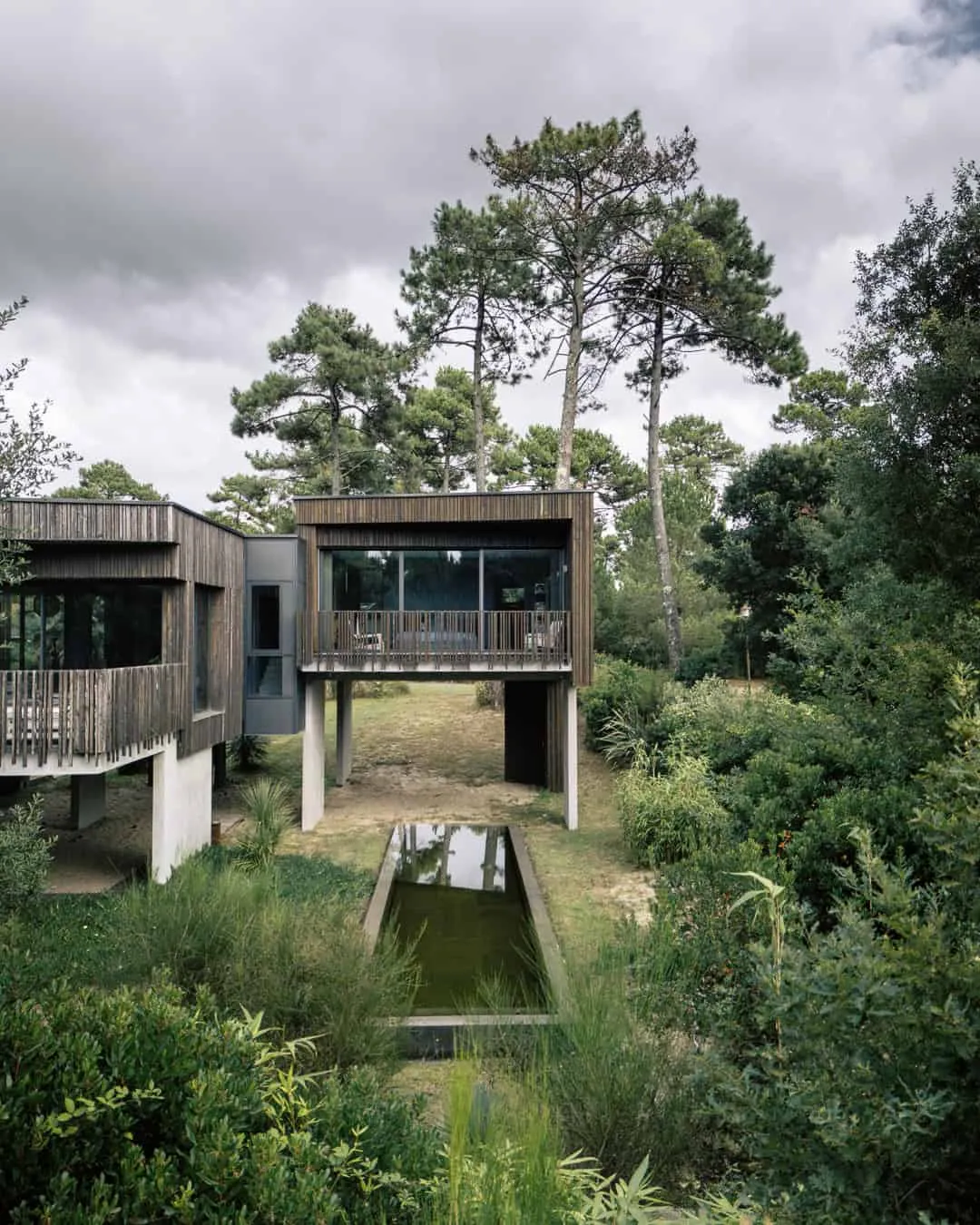 带池塘的现代高架住宅 高架现代木屋,下方设有池塘。