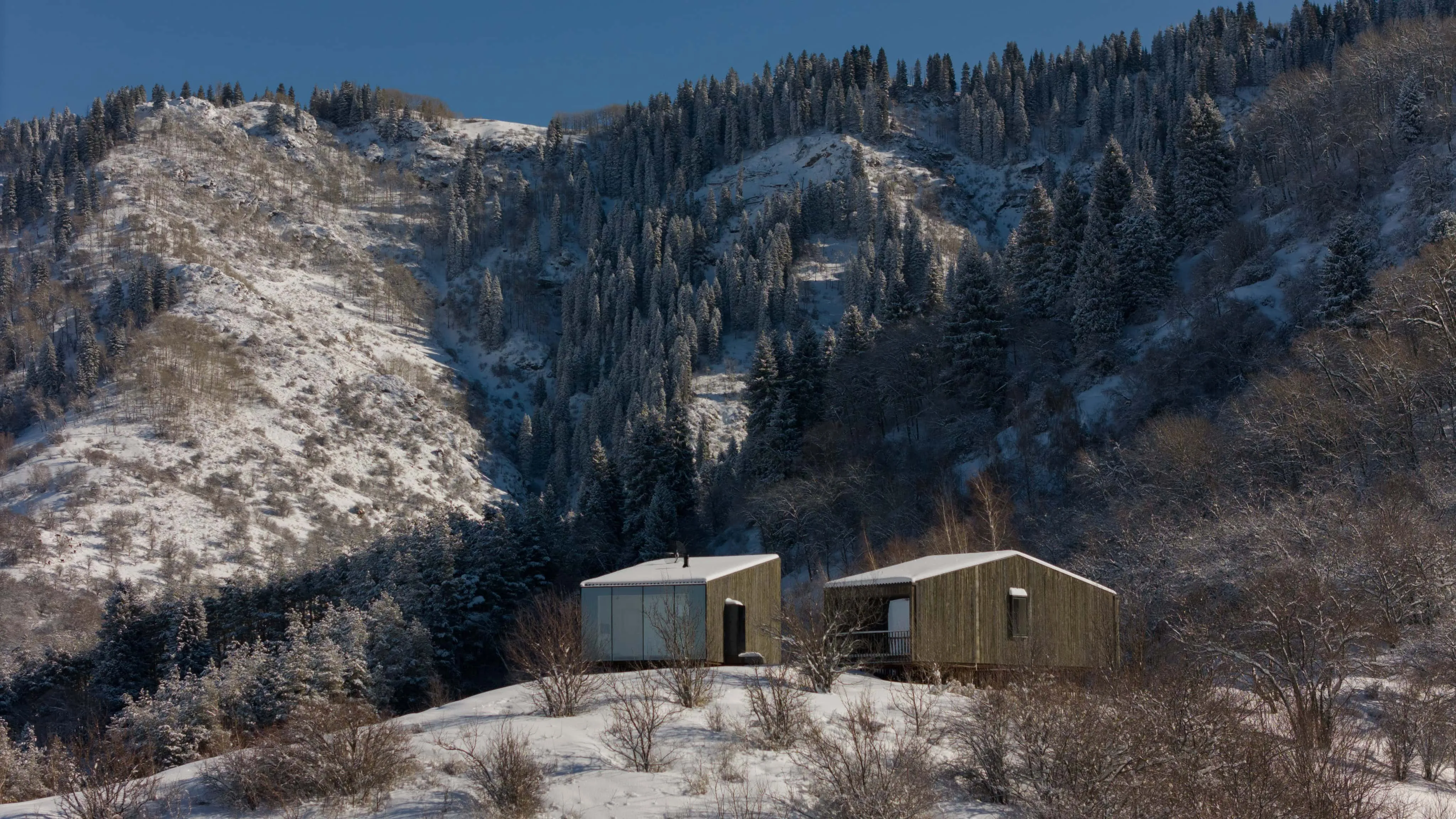 阿姆小屋位于雪松边缘。