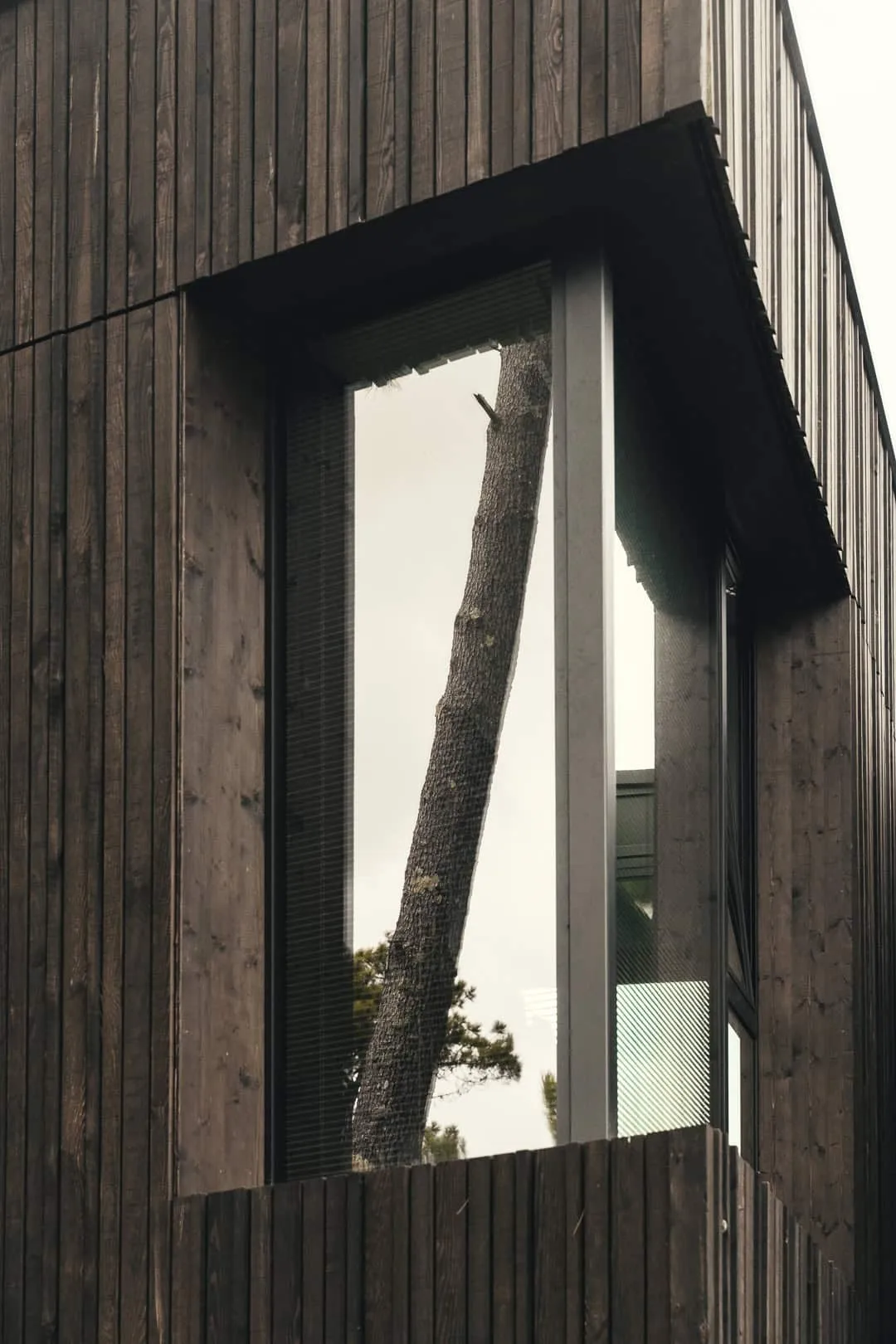 自然环境的窗户细节 窗户细节的特写,显示周围自然反射。