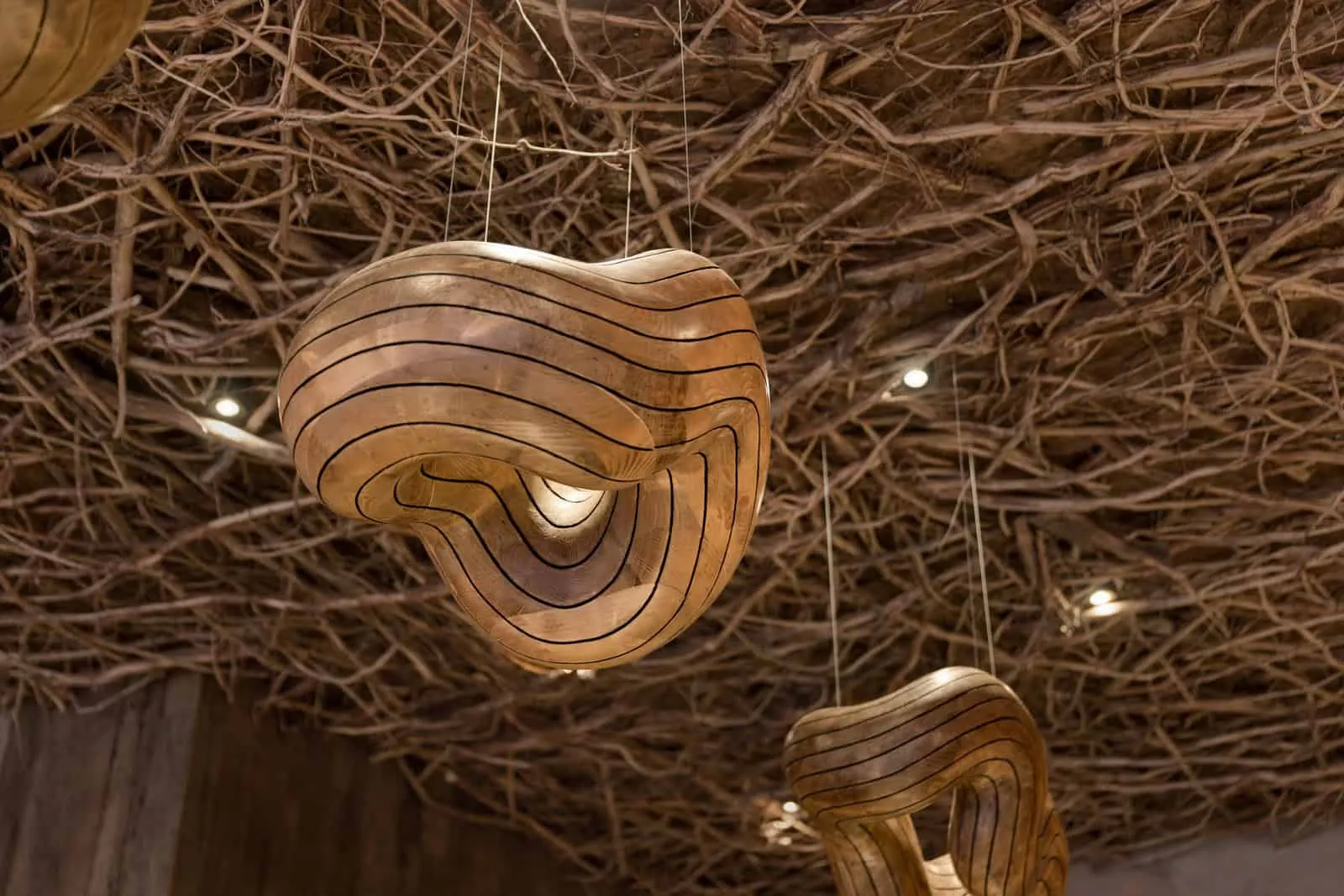 弯曲木质吊灯，与咖啡馆内树枝天花板细节相呼应