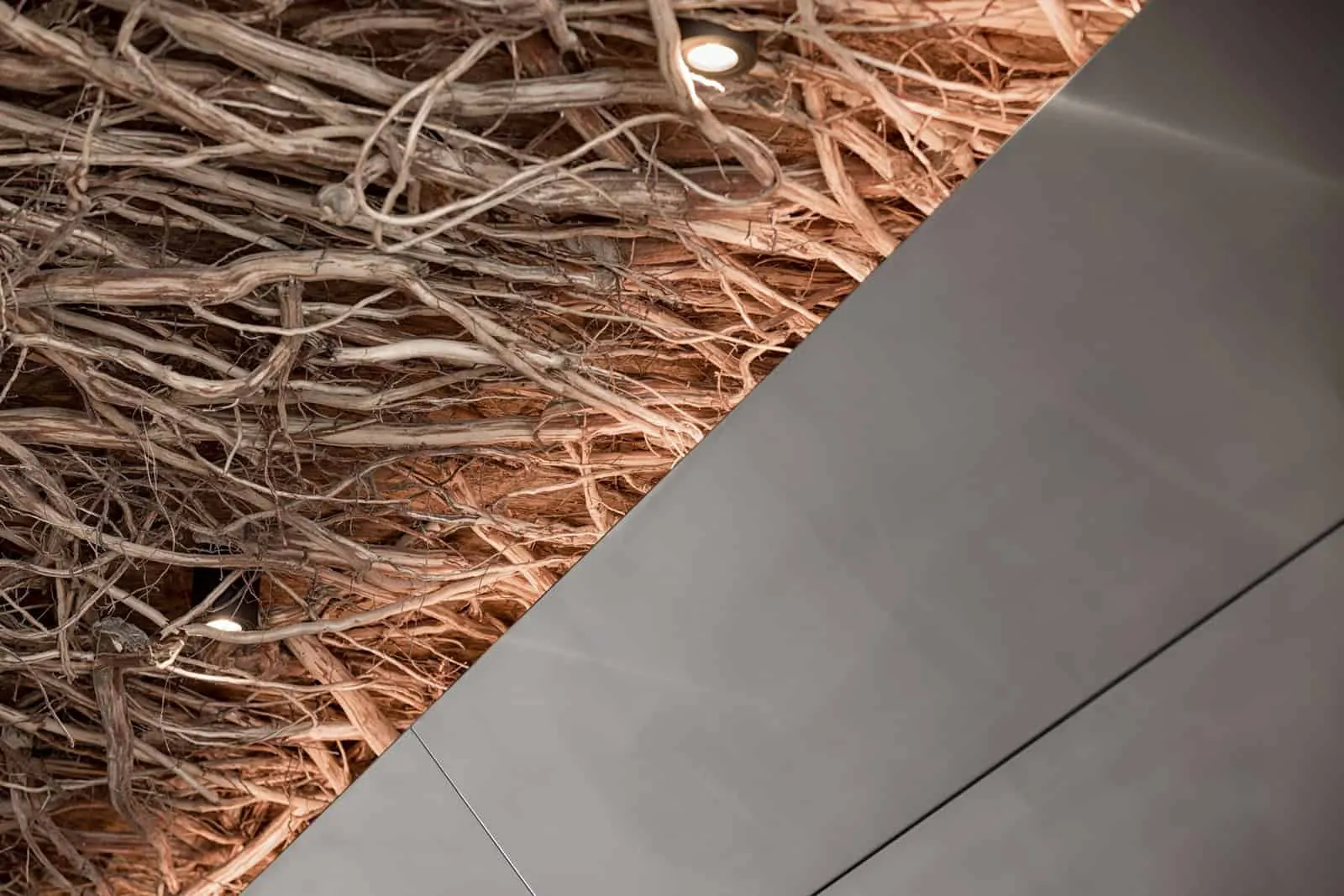 有机树枝天花板的细节，配有温暖照明