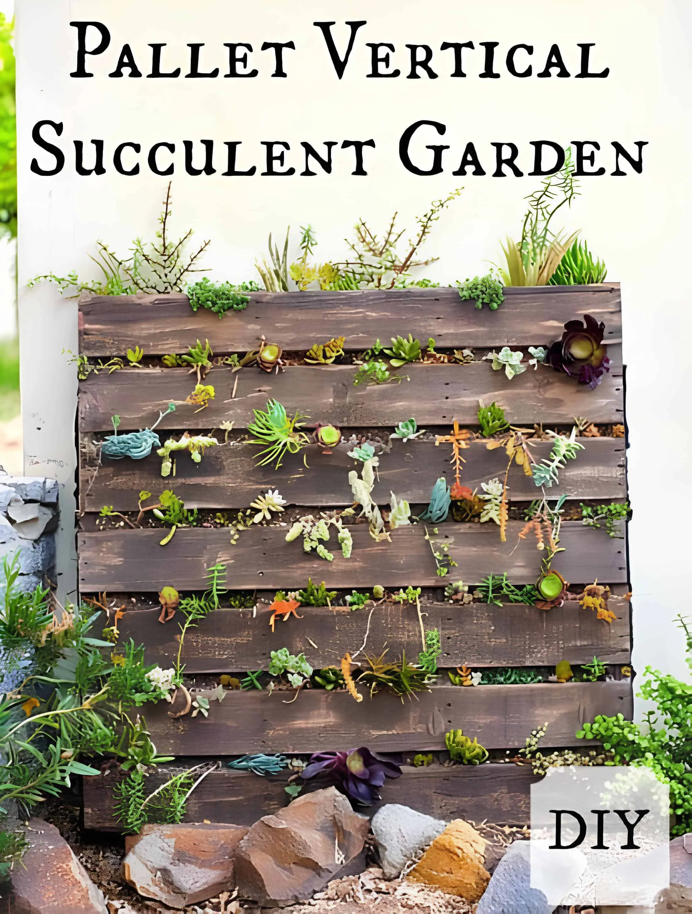 棕色木托盘，装满混合仙人掌用于垂直花园