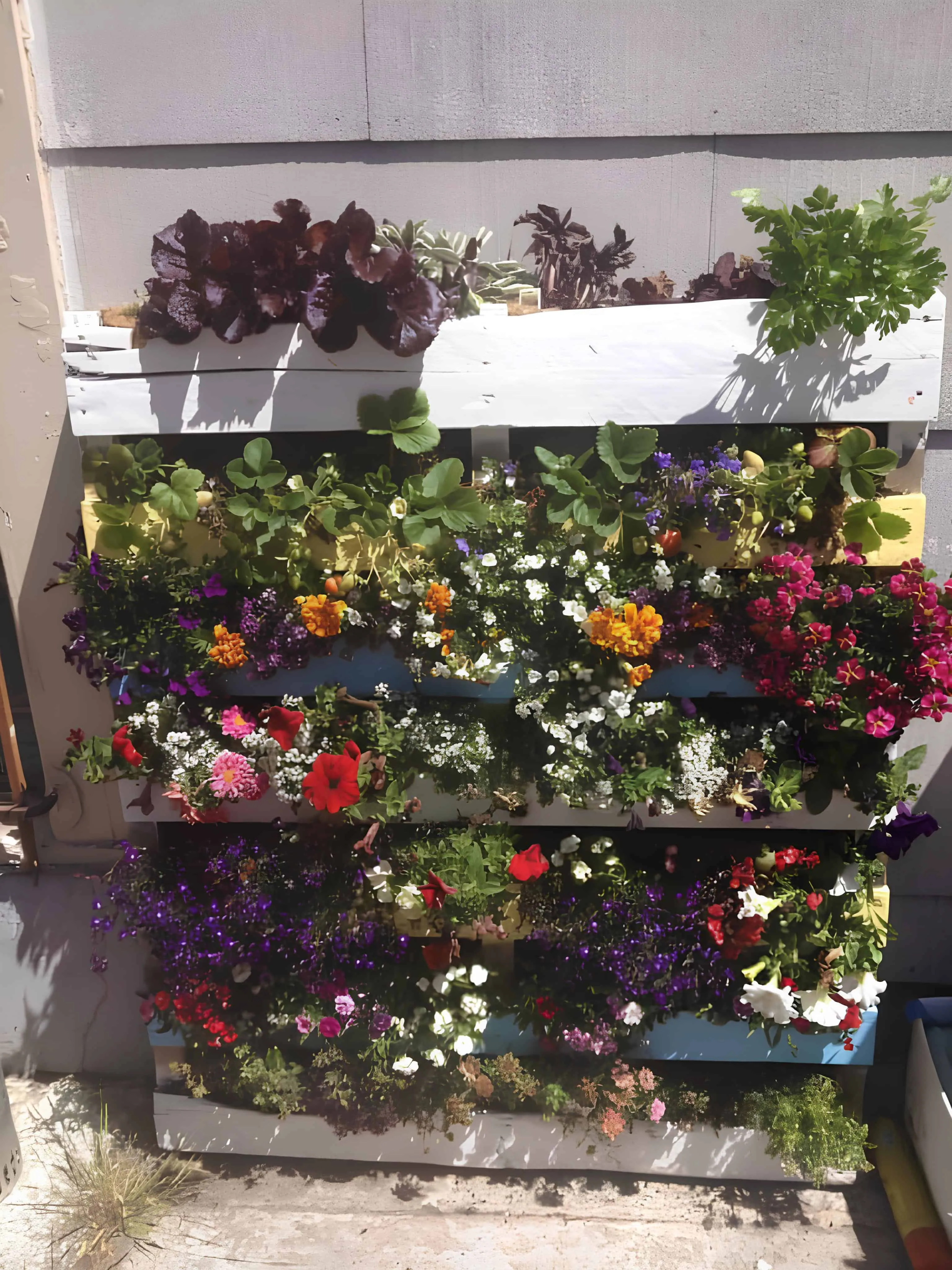 多层托盘花园，装满花卉和绿色植物