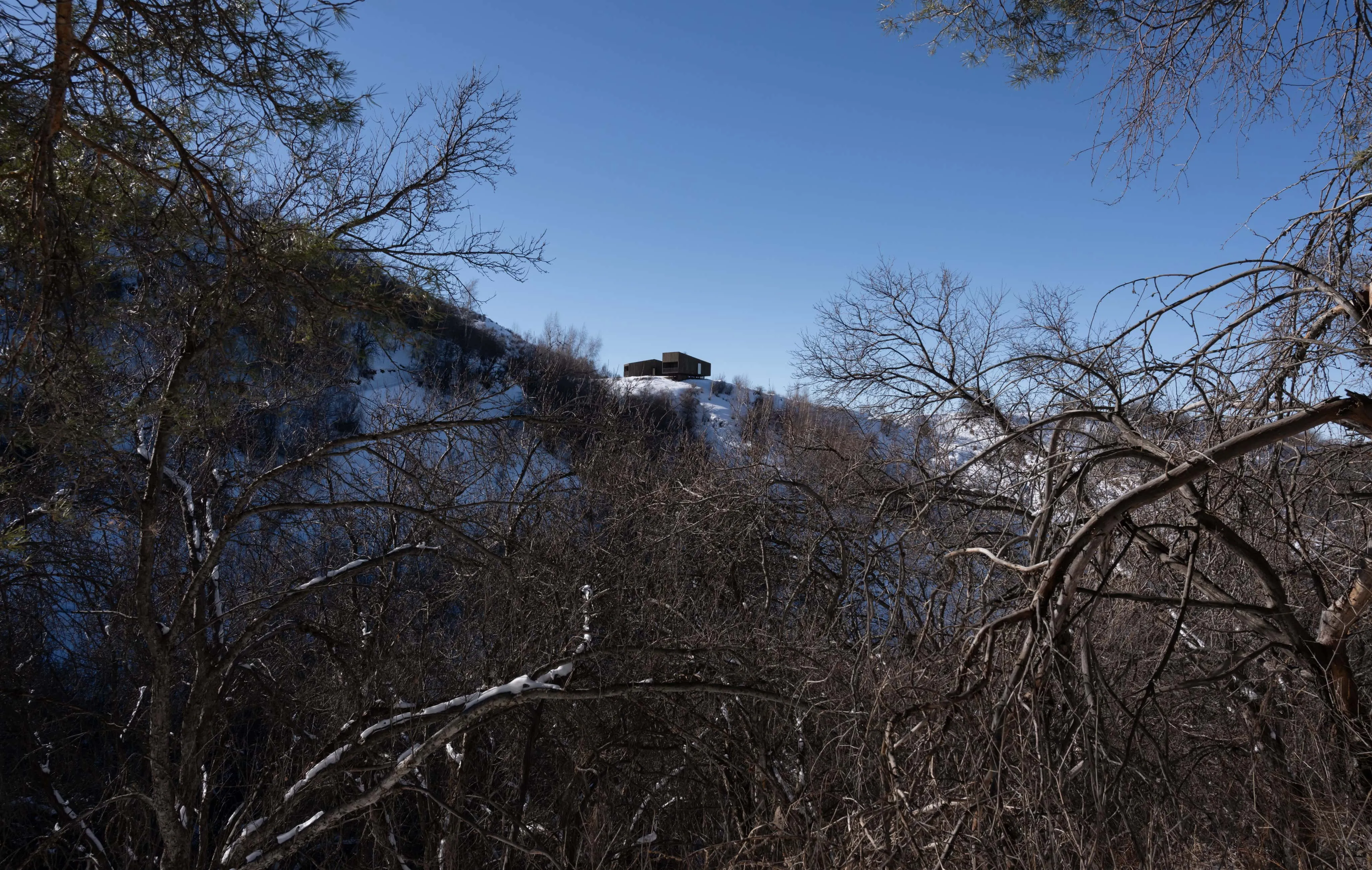 从无叶树林间望去的阿姆小屋雪峰轮廓。