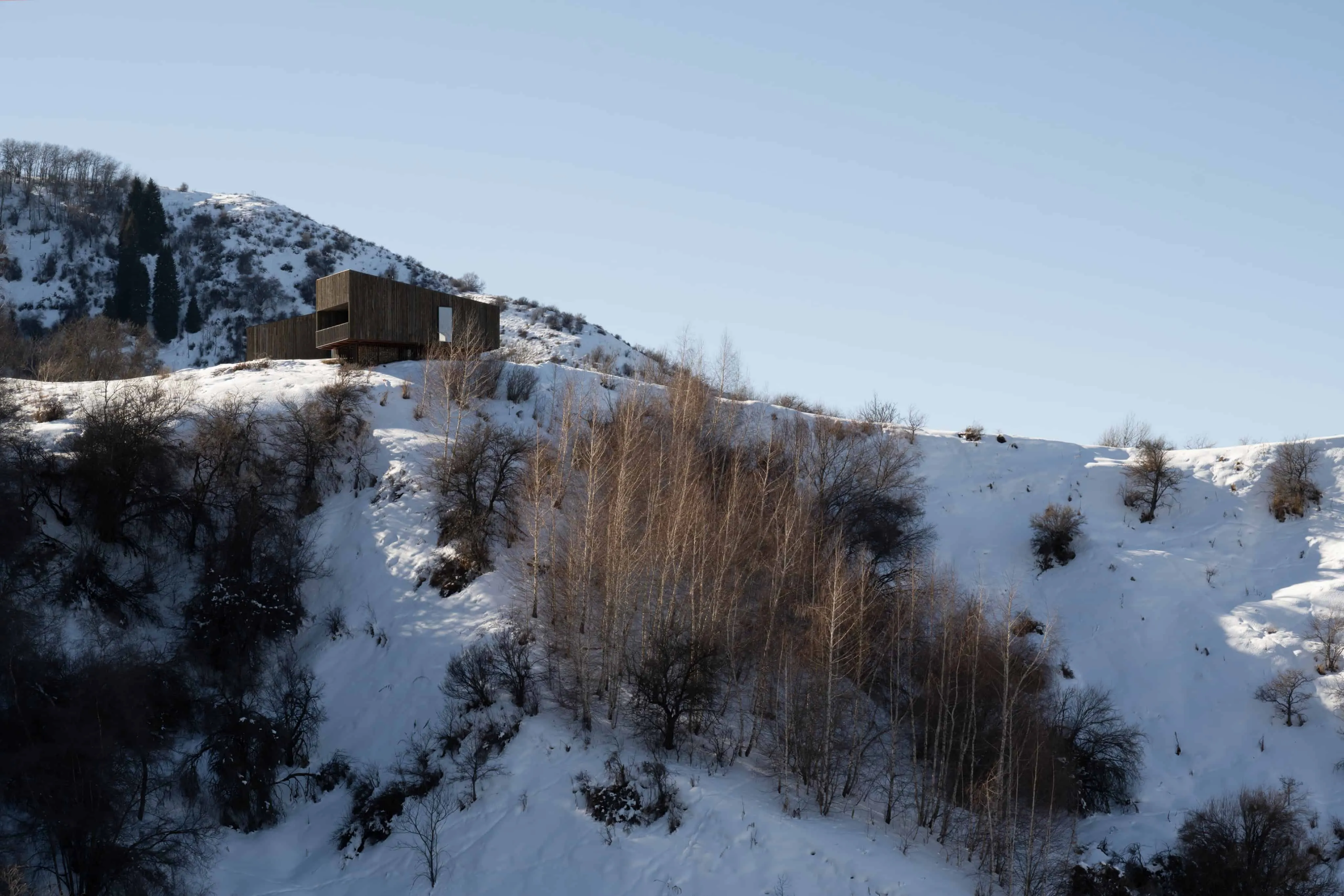 阿姆小屋矗立在陡峭雪坡上，下方是冬季树木。