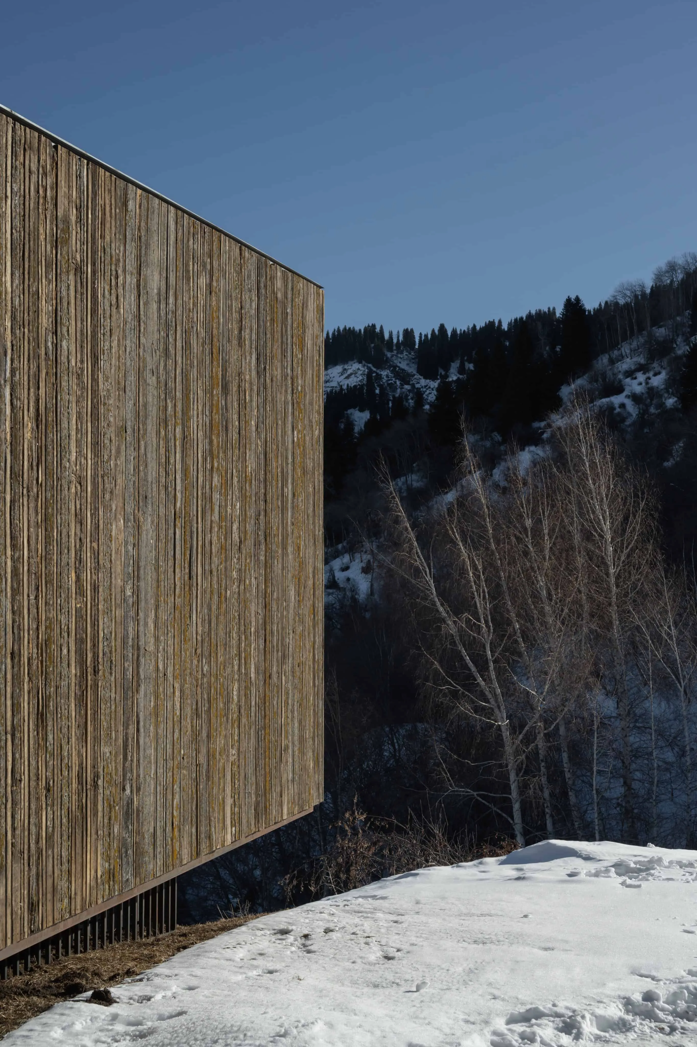 阿姆小屋角落木饰面位于林缘。