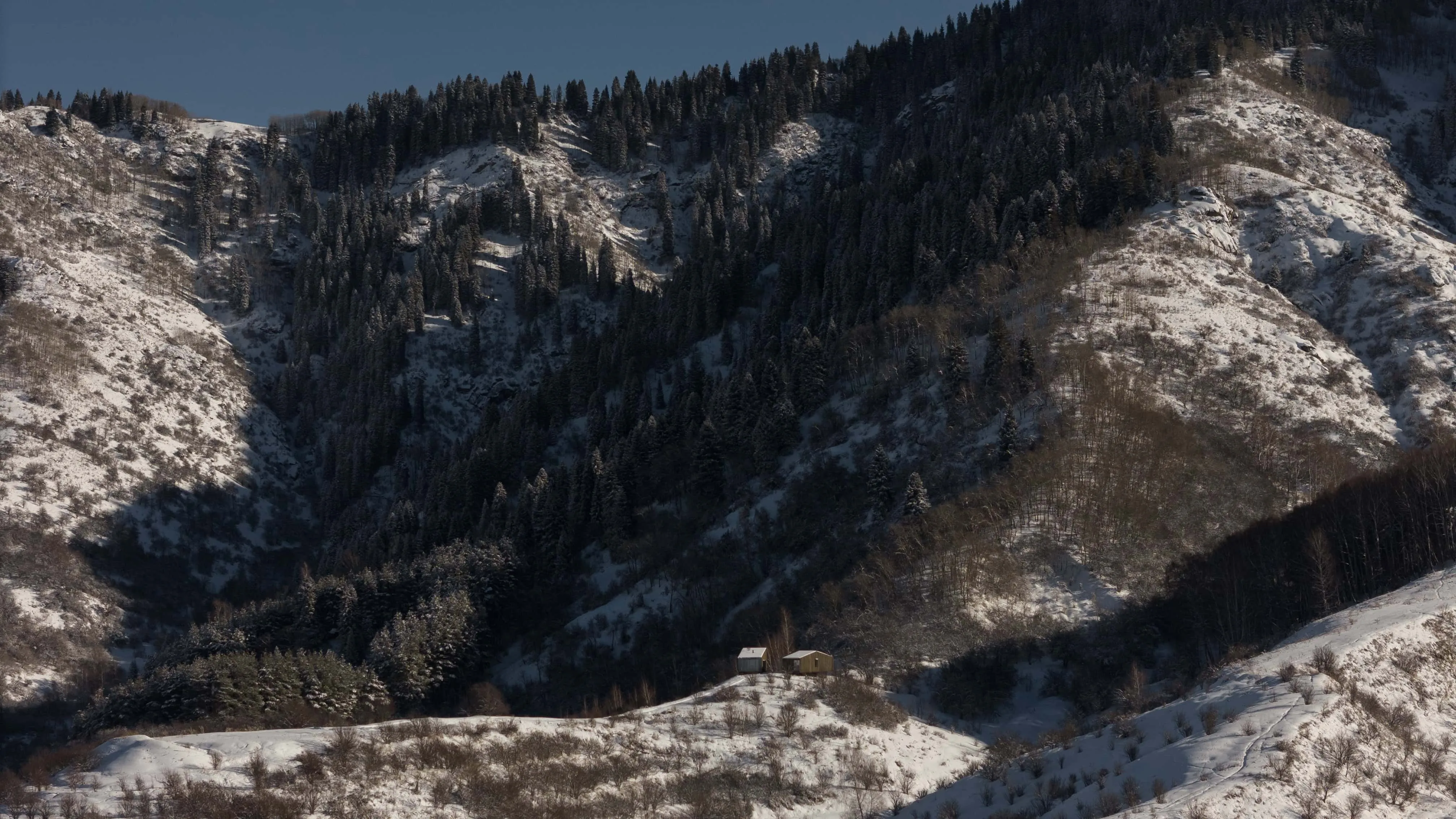 阿姆小屋位于陡峭的雪林山坡和黑色树木之上。