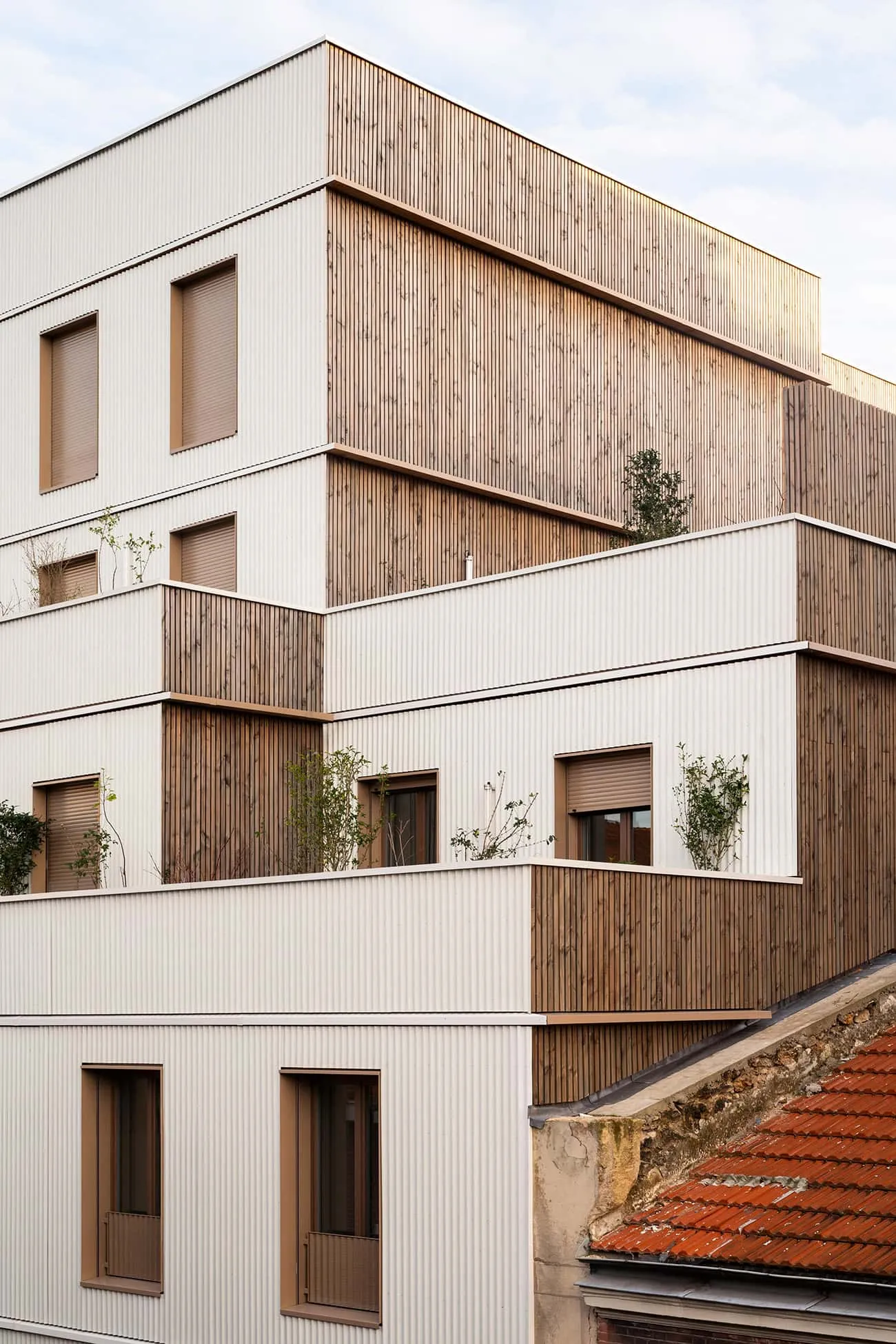 Glass terraces with timber and metal cladding for urban apartments