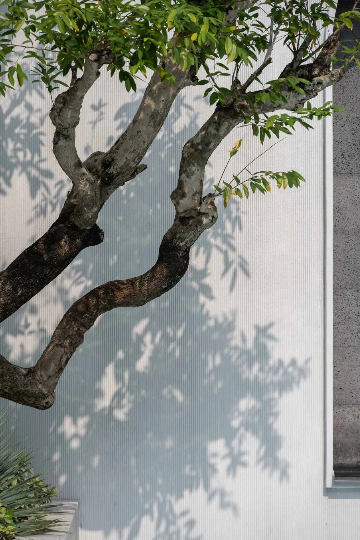 Pavilion | WARchitect | Bangkok, Thailand