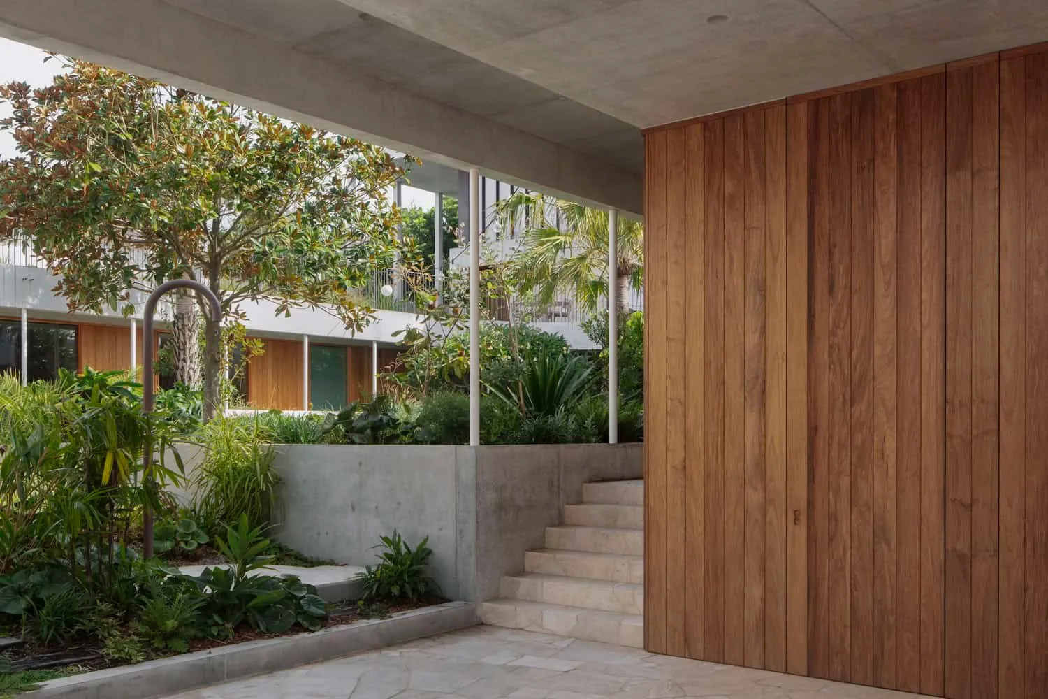 Concrete steps and rich courtyard landscape in Newcastle home