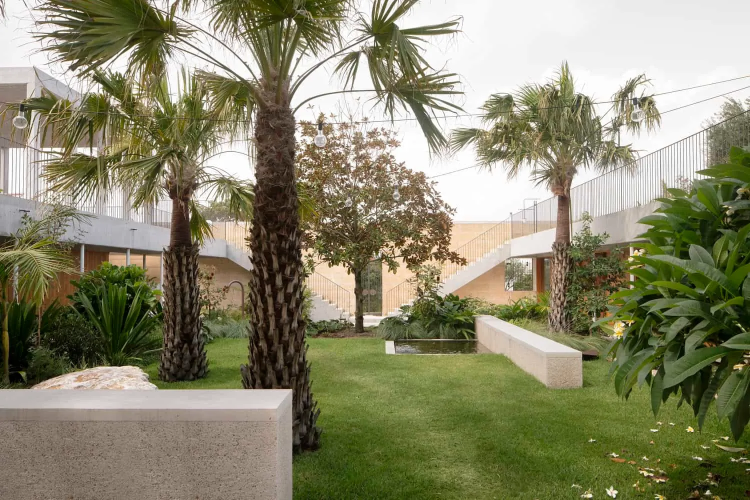 Lush courtyard garden with palms and concrete benches inside the Newcastle home