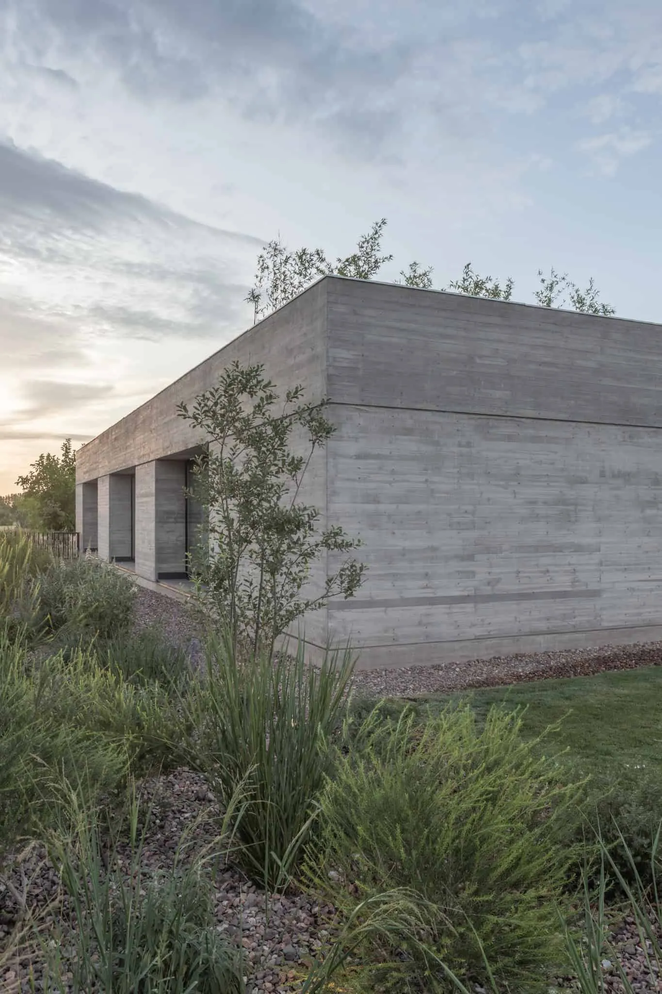 A4estudio设计的Casa Anabela极简景观角落视图。