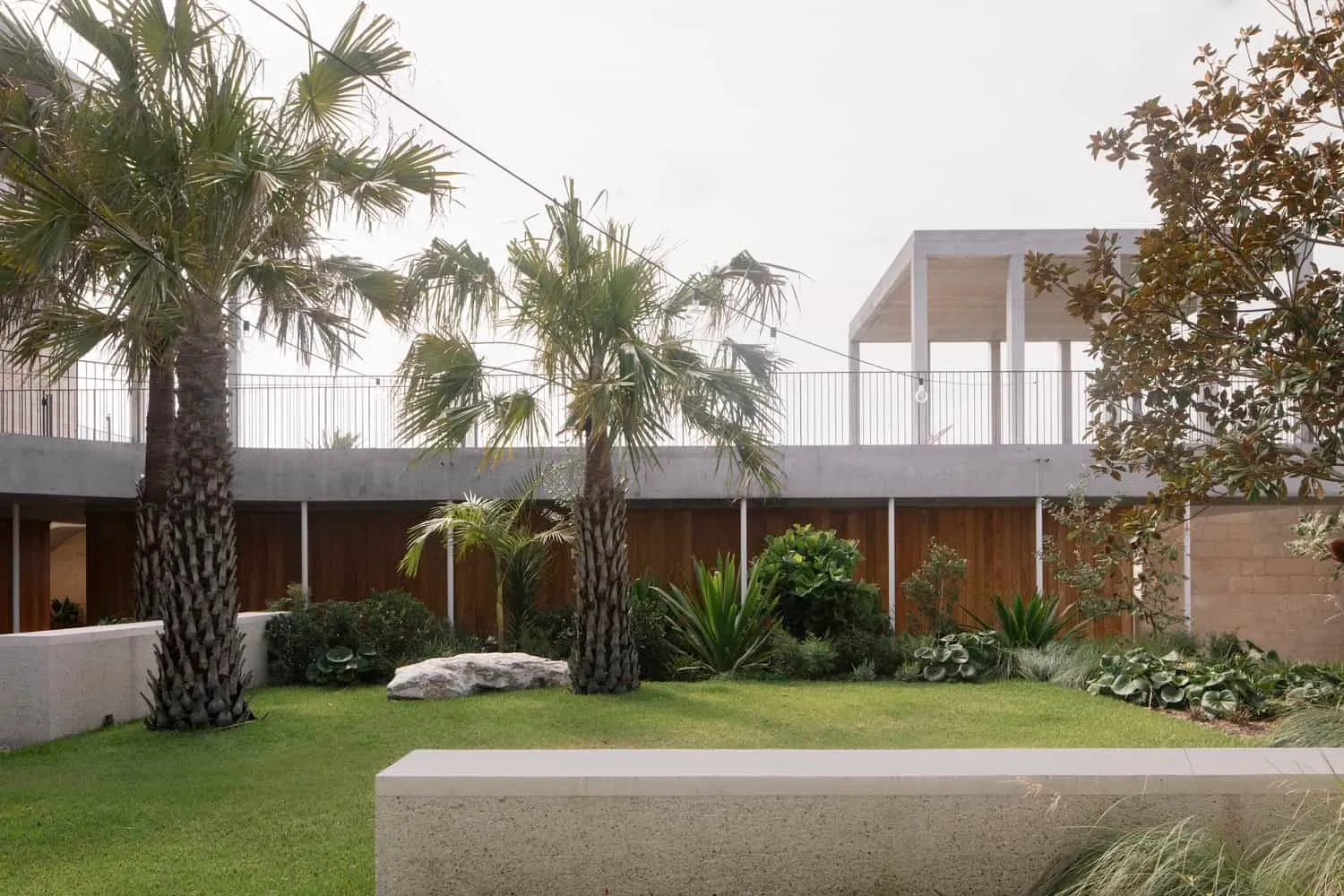 Palms and green foliage in courtyard landscape of Newcastle