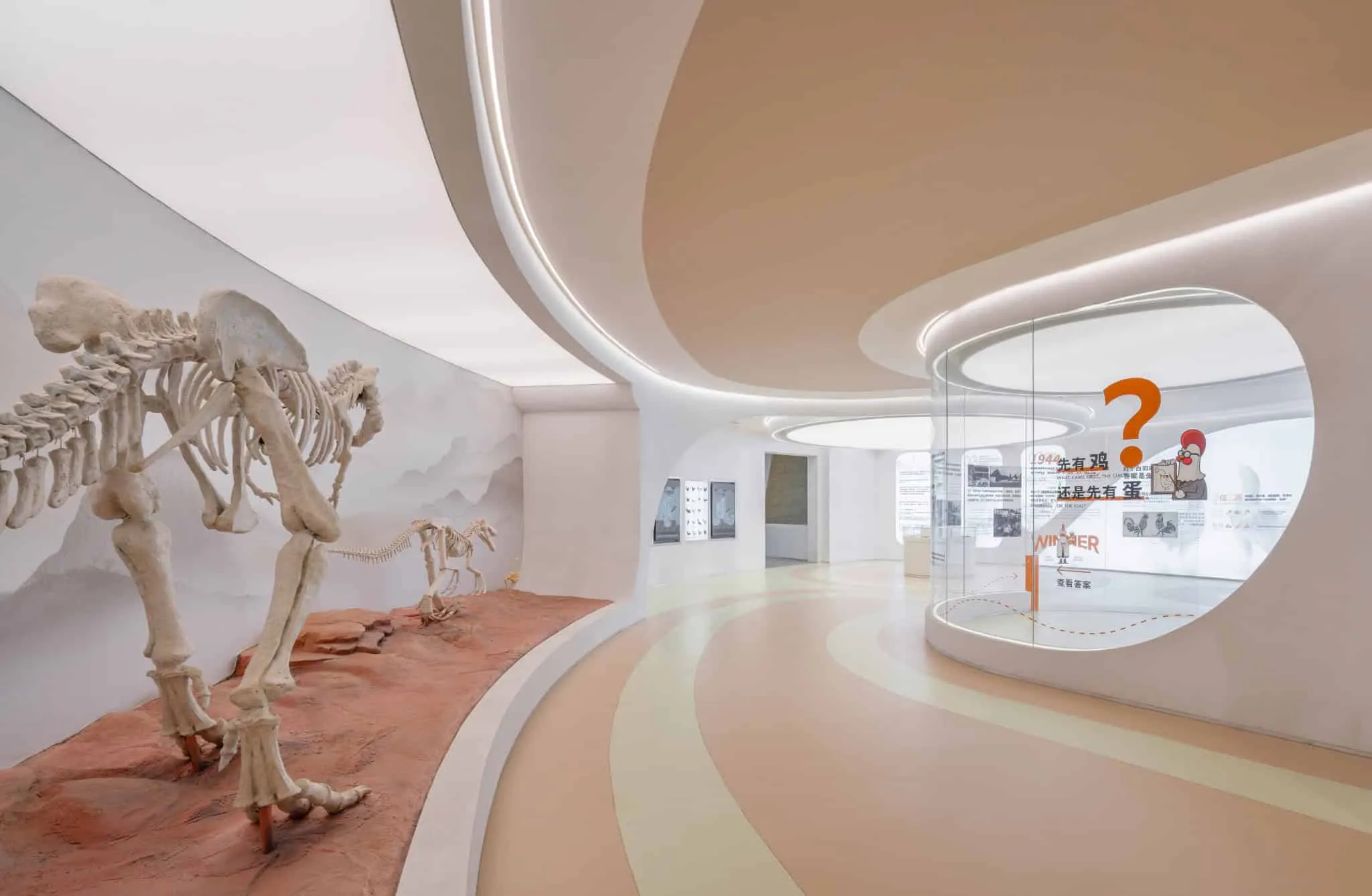 Dinosaur gallery of Sunner Museum Fossil exhibition space of Sunner Museum with sculptural white walls and curved paths