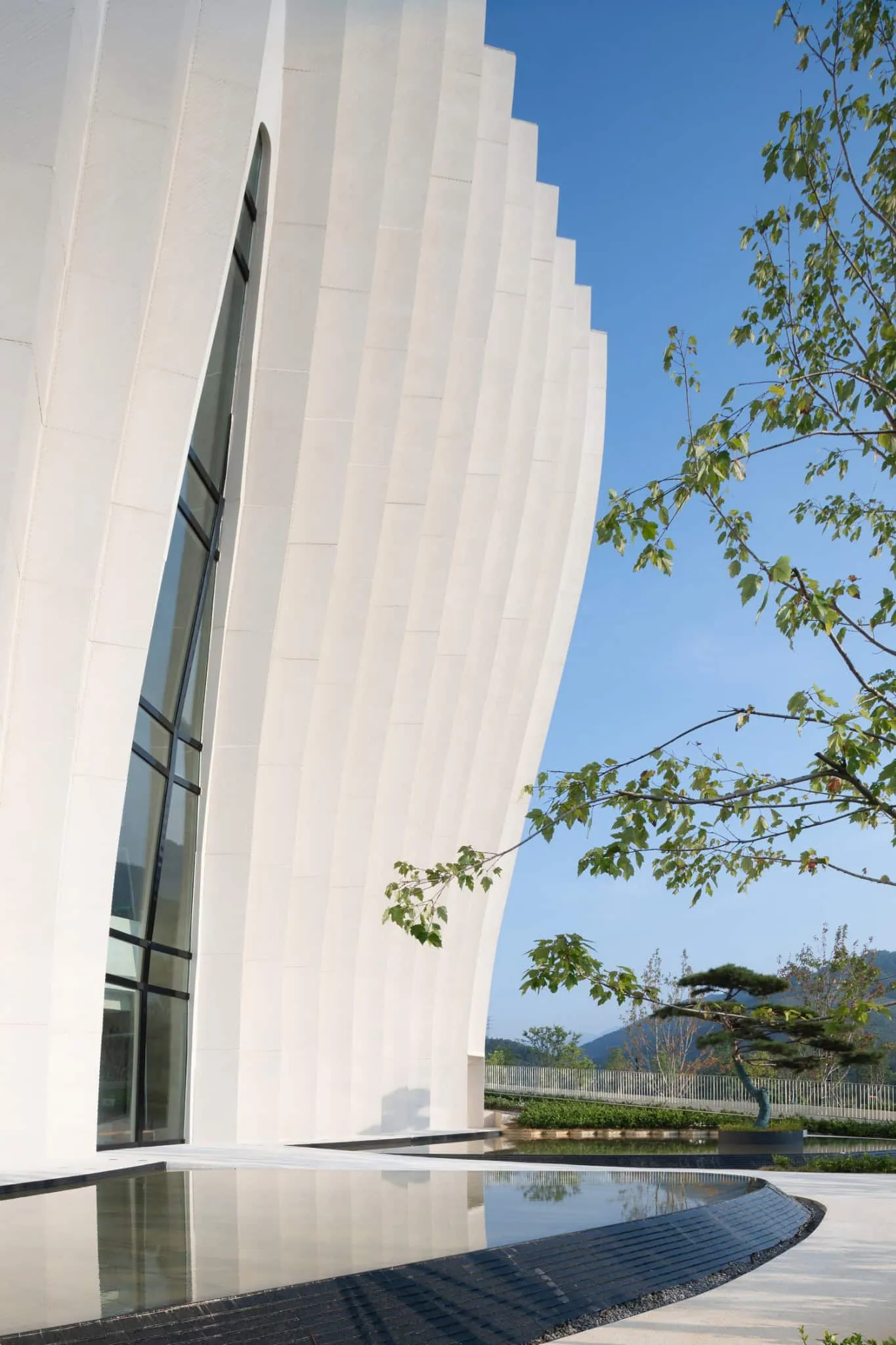 Detail of Sunner Museum facade with wood Detail of the white curved facade of Sunner Museum with reflecting pool and greenery