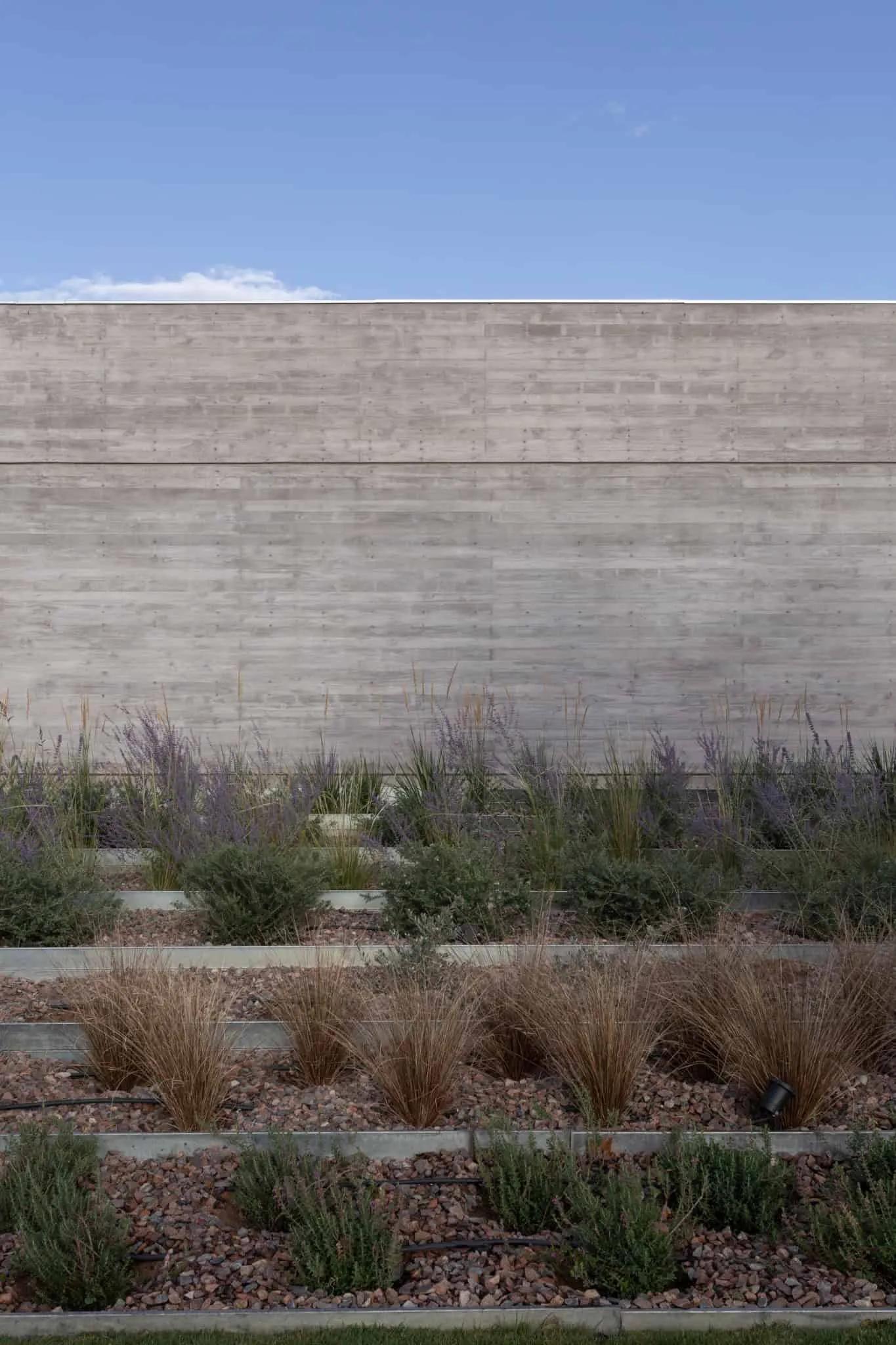 A4estudio设计的Casa Anabela前景观细节。