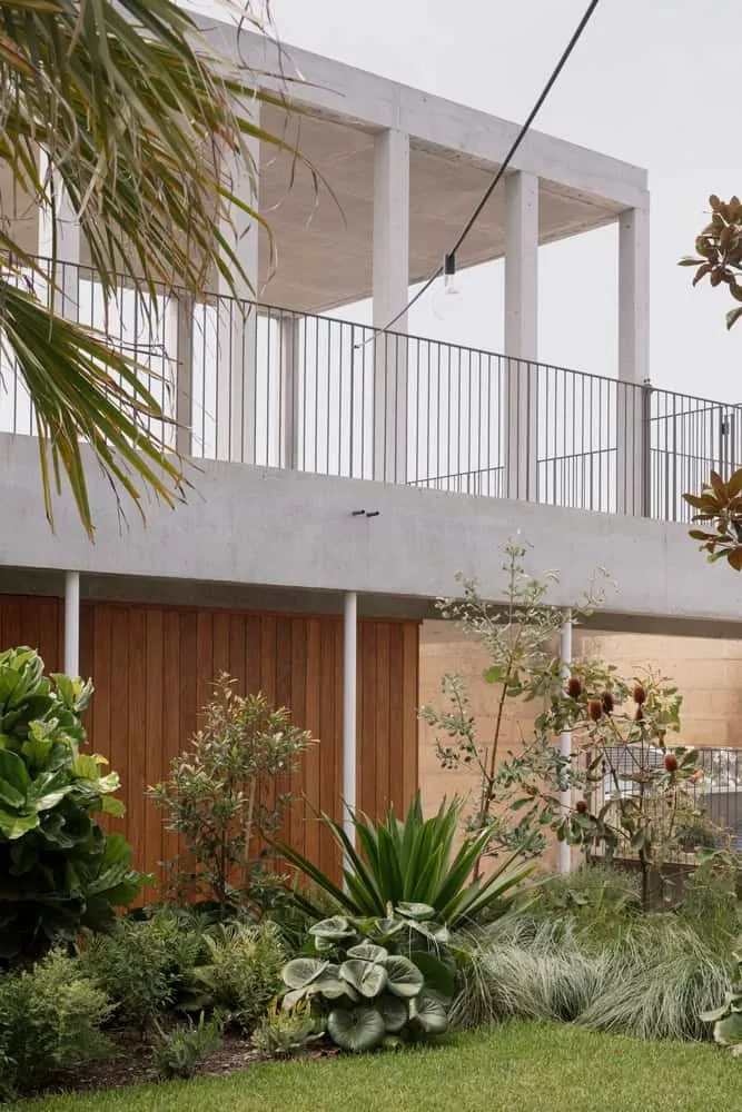 Concrete pavilion with rich garden and wooden cladding in Newcastle home