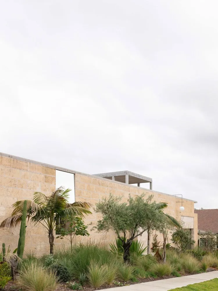 Perspective of limestone garden wall with local plants in Newcastle home