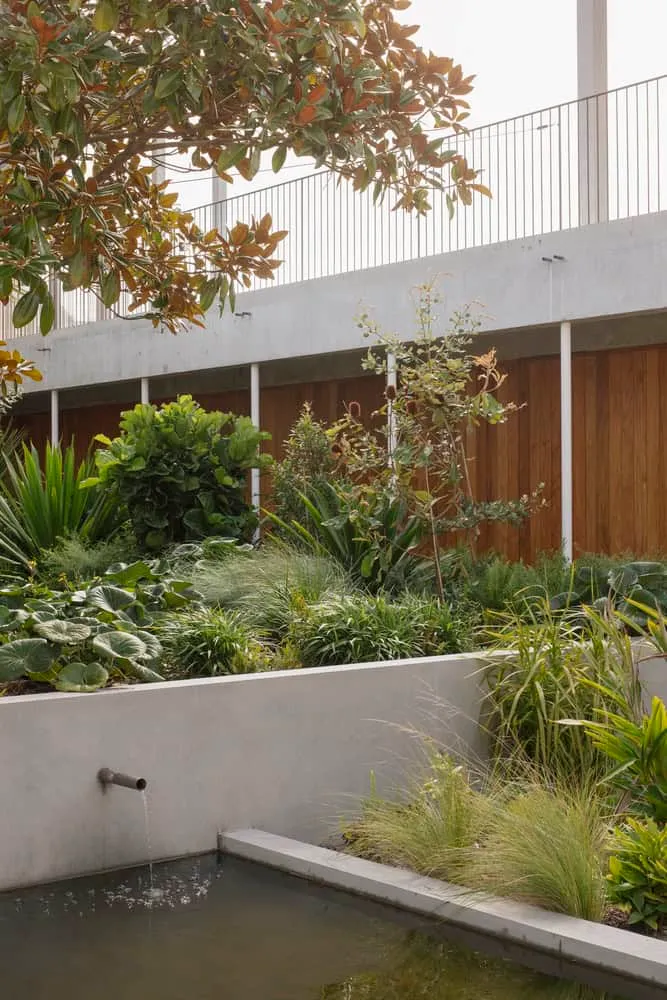 Concrete edge of pond with surrounding garden and tropical plants in Newcastle