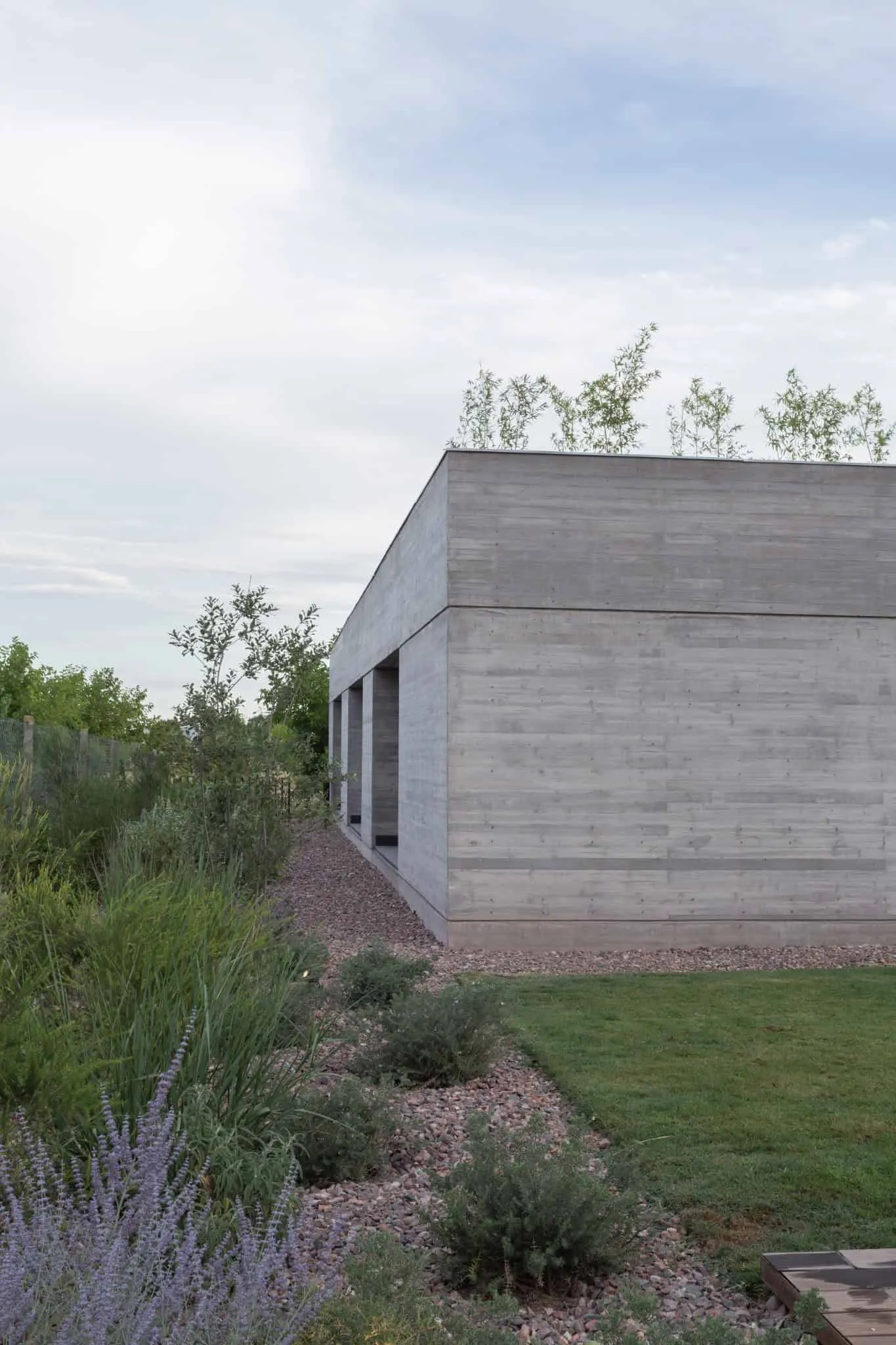 A4estudio设计的Casa Anabela房屋后角与花园。