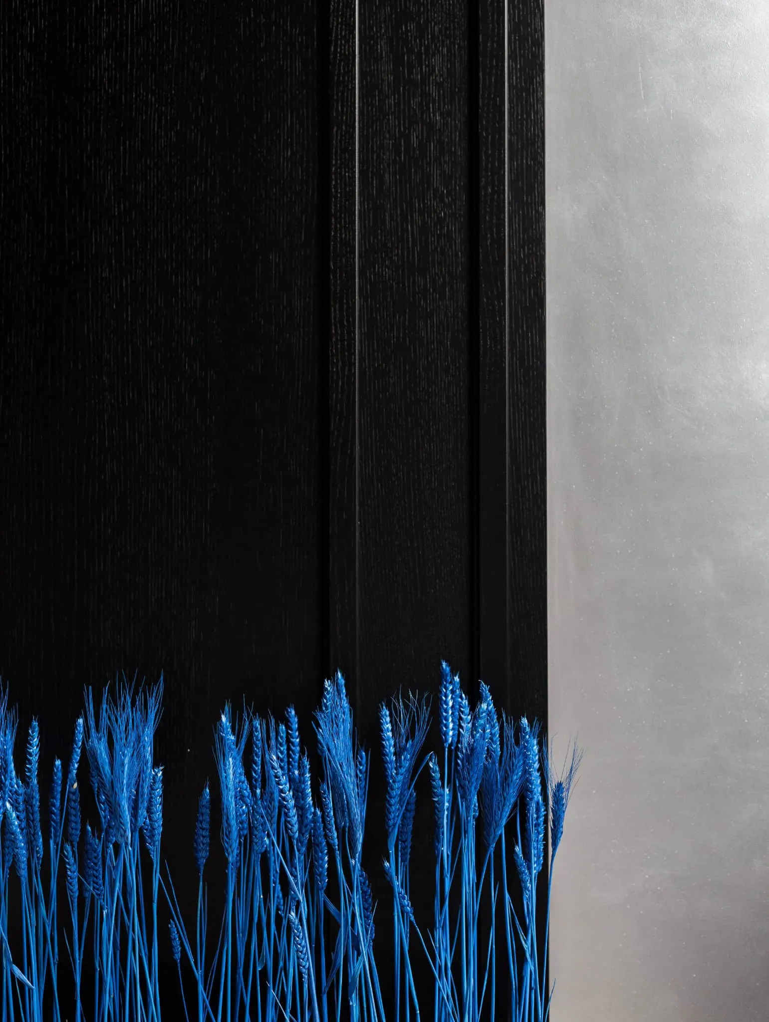 Dark wooden paneling with modern black-gray background, enhanced by bright blue corn for a contemporary and elegant interior design.