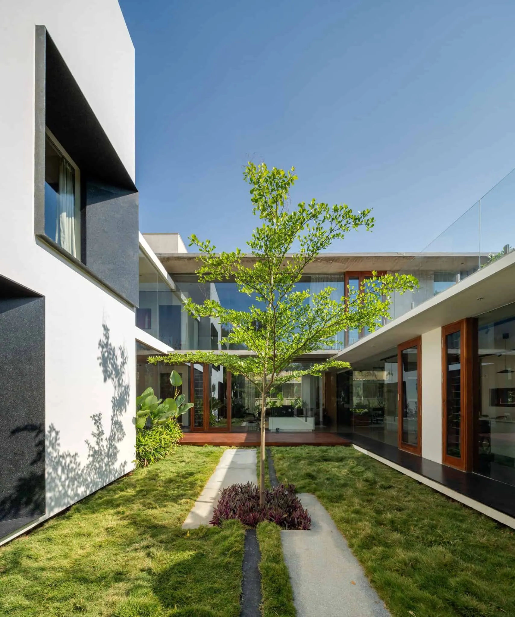 Minimalist House by Crest Architects — inner courtyard with tree, Bangalore, India