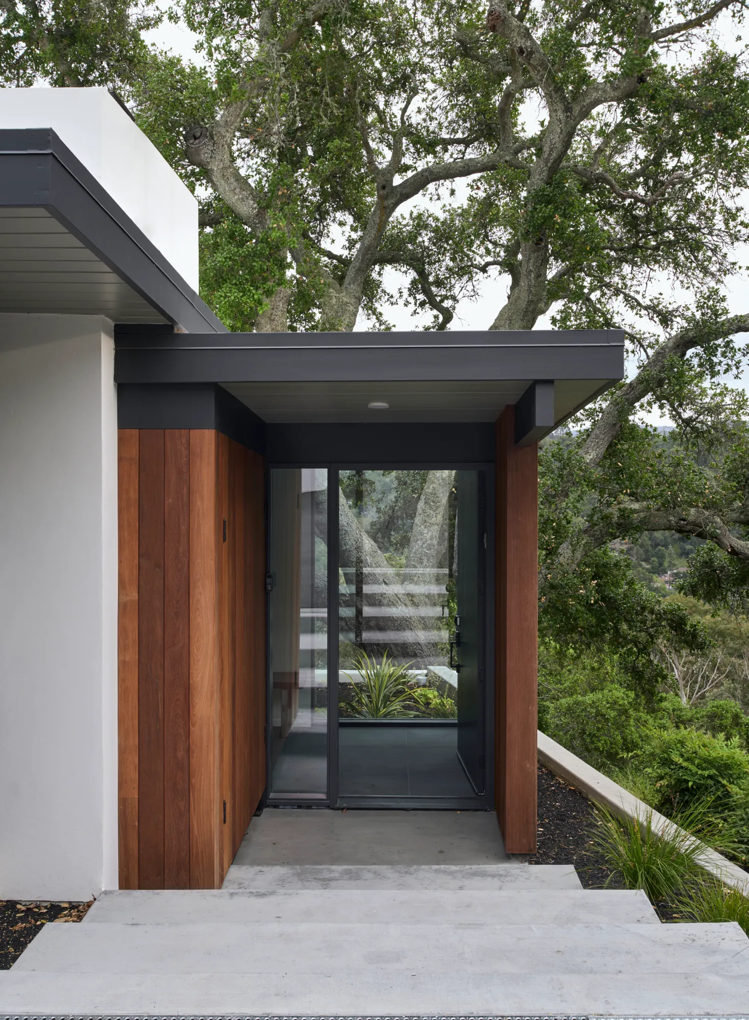 Klopf Architecture翻新mid-century现代风格住宅——玻璃门入口，奥林达，美国