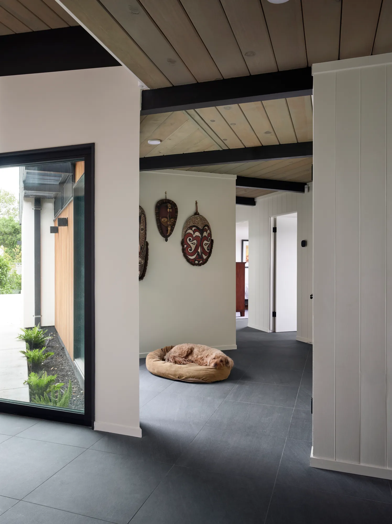 Klopf Architecture翻新mid-century现代风格住宅——带狗床的走廊壁龛，奥林达，美国