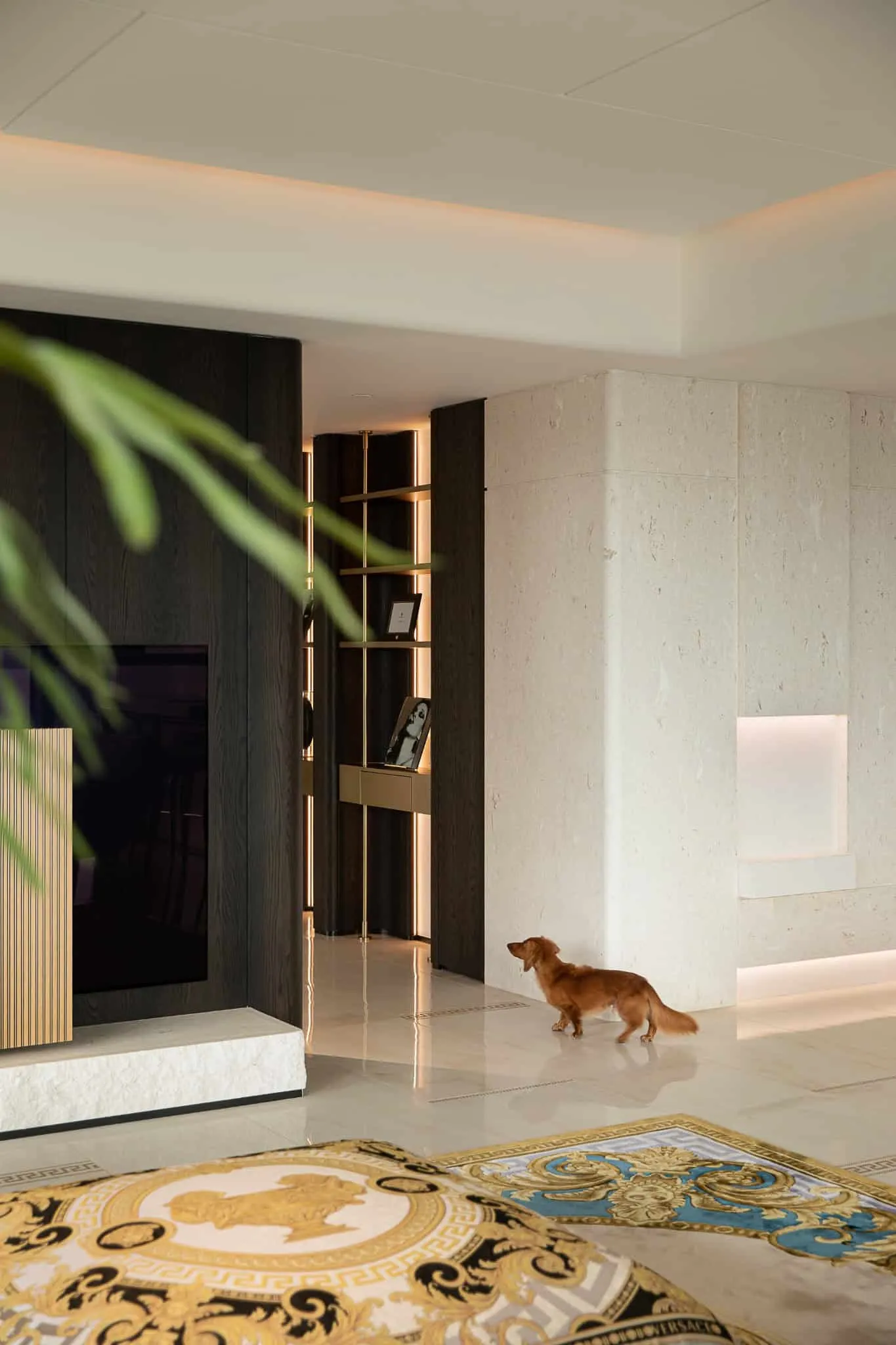 Azure Heights hallway dog feature wall by BDSD Boundless Design, Shenzhen, China