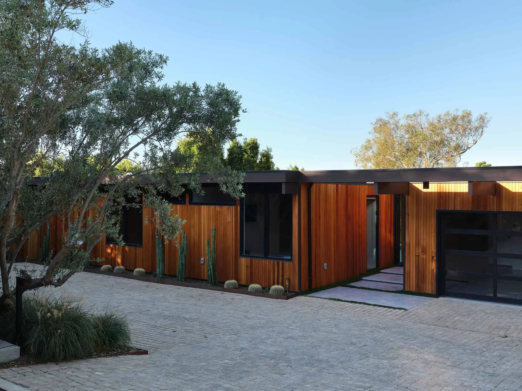 Malibu Glass Box House 住宅入口道路与橄榄树，Klopf Architecture 设计 – 马拉白，加州