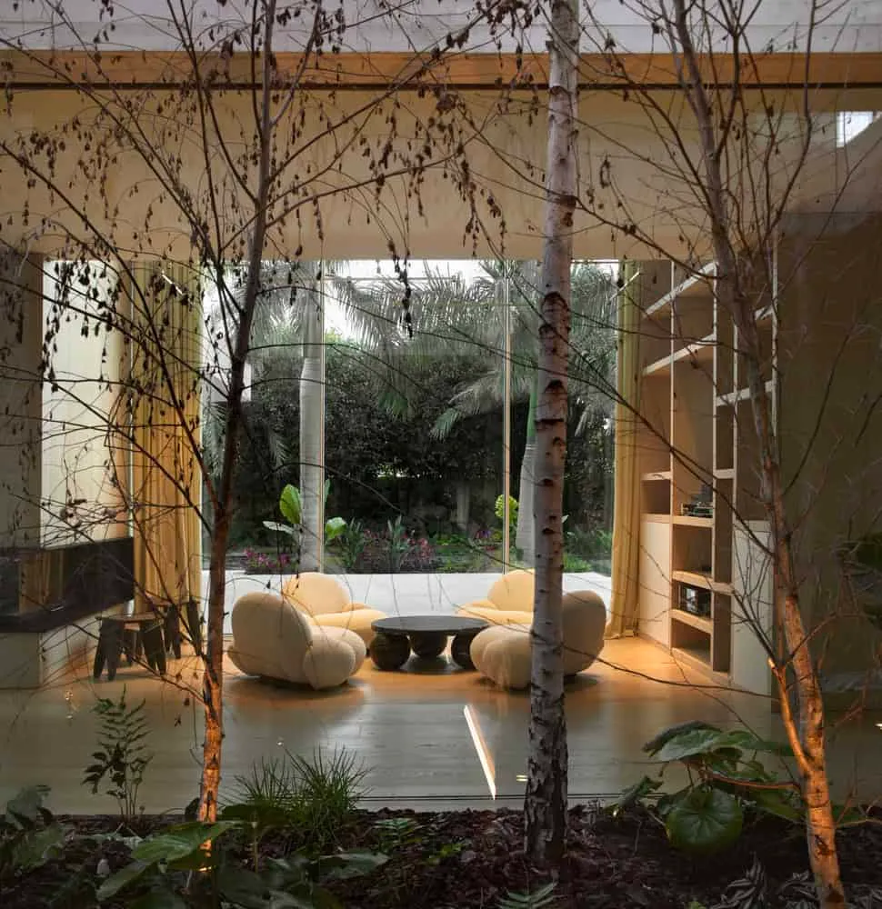 拉莫恩·埃斯特韦工作室的雅卡兰达之家——花园客厅和棕榈树，瓦伦西亚，西班牙