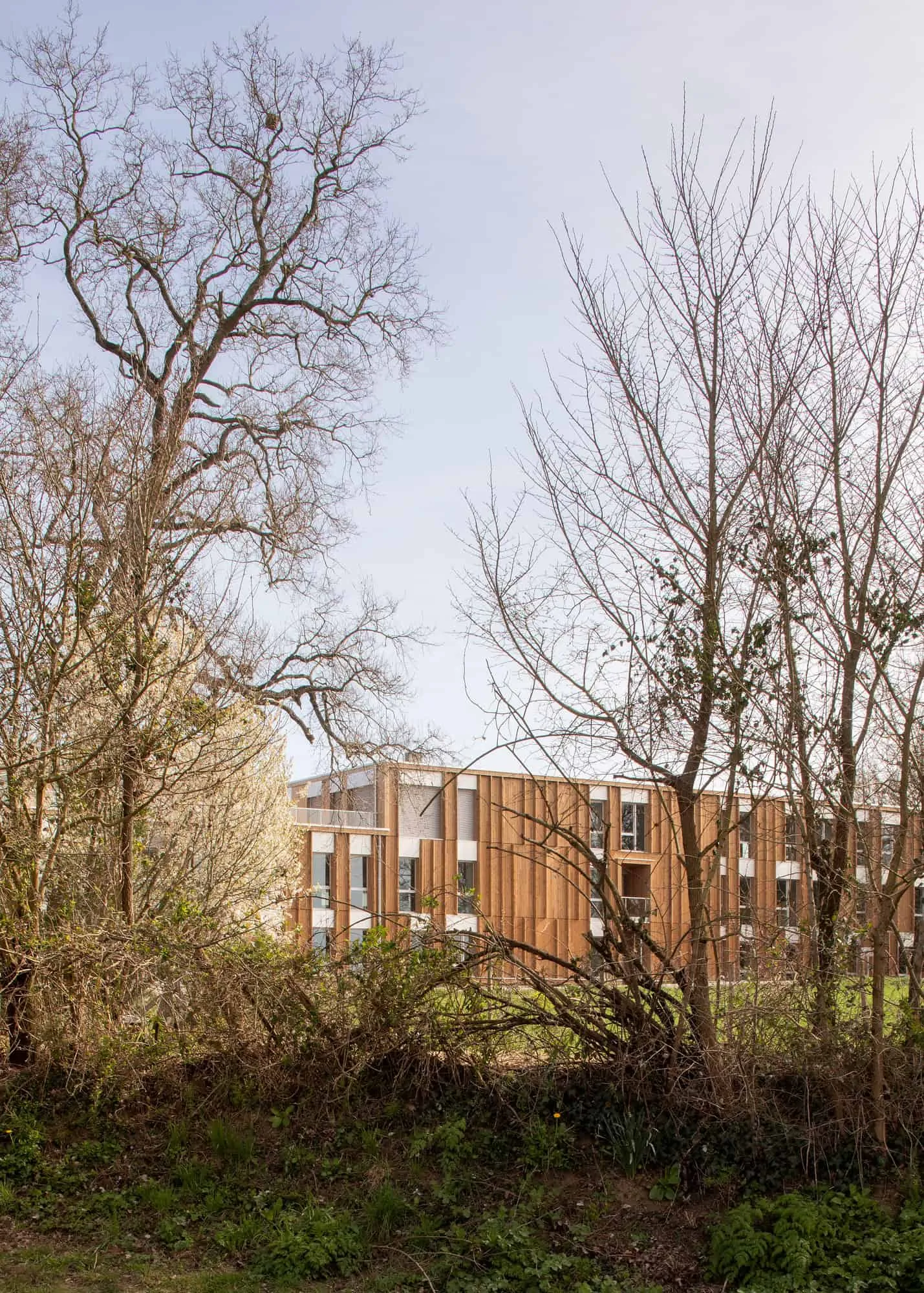 Le Chemin du Bois Harel от ALTA Architectes — Вид на лесной участок, Ренн / Сен-Жак де ла-Ланд, Франция