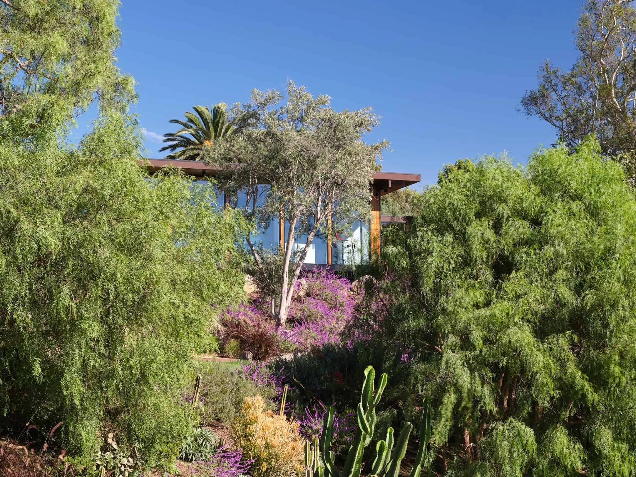 Malibu Glass Box House 住宅在树林中的景象，Klopf Architecture 设计 – 马拉白，加州