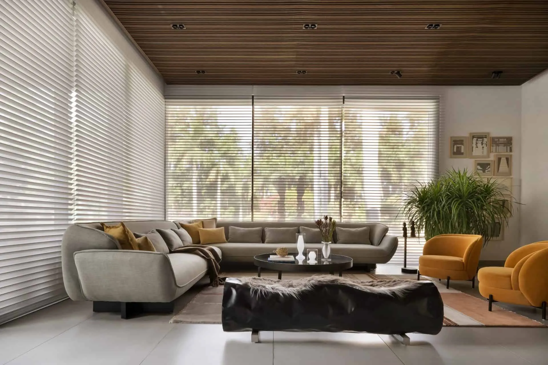 Panoramic view of the living room in UrbanMistrii's Pool House in Chatarpur, Delhi.