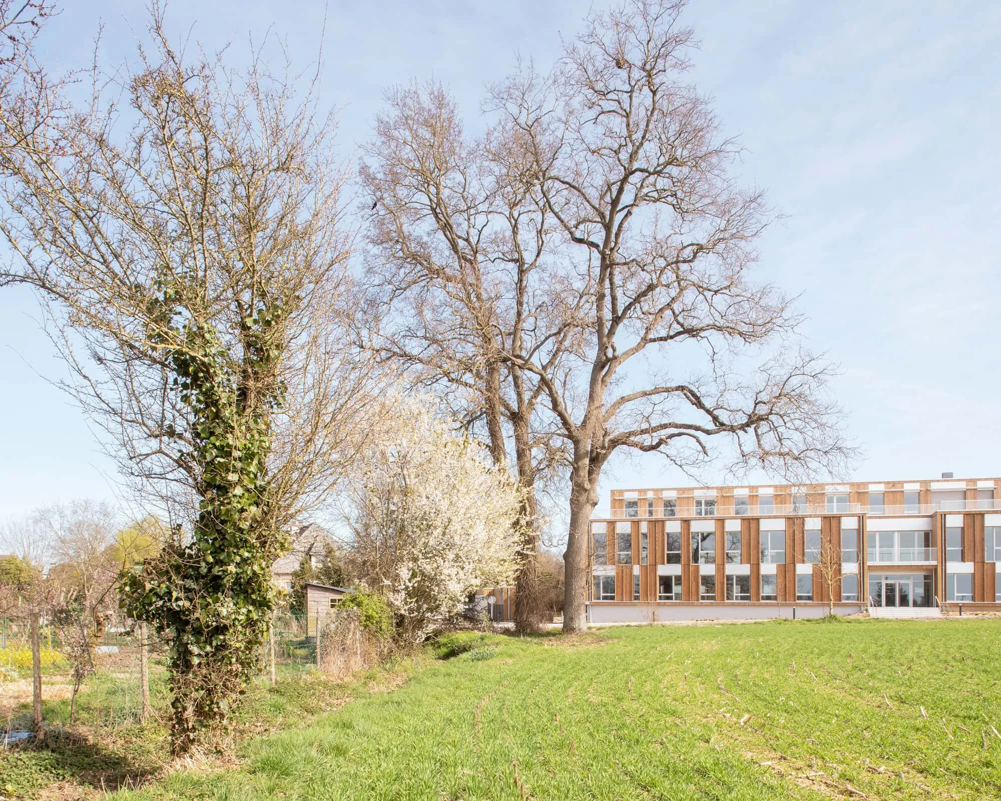 Le Chemin du Bois Harel от ALTA Architectes — Контекст ландшафта, Ренн / Сен-Жак де ла-Ланд, Франция