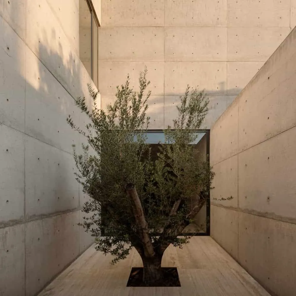 戈麦斯之家木质走廊与混凝土墙，由豪尔赫·加里巴伊建筑事务所设计，克雷塔罗，墨西哥