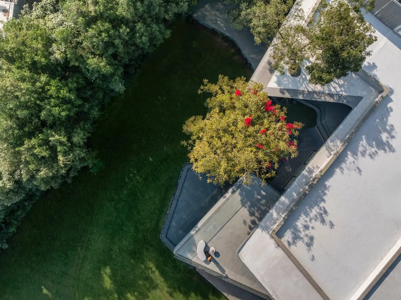 Aerial view of the terrace roof with tree in House NINE X NINE in Gandhinagar