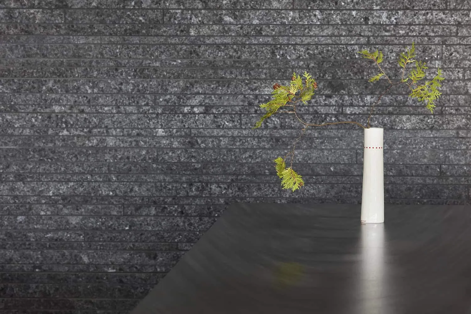 Minimalist Still Life with Vase and Branch in Sagamore North Cottage by Akb Architects