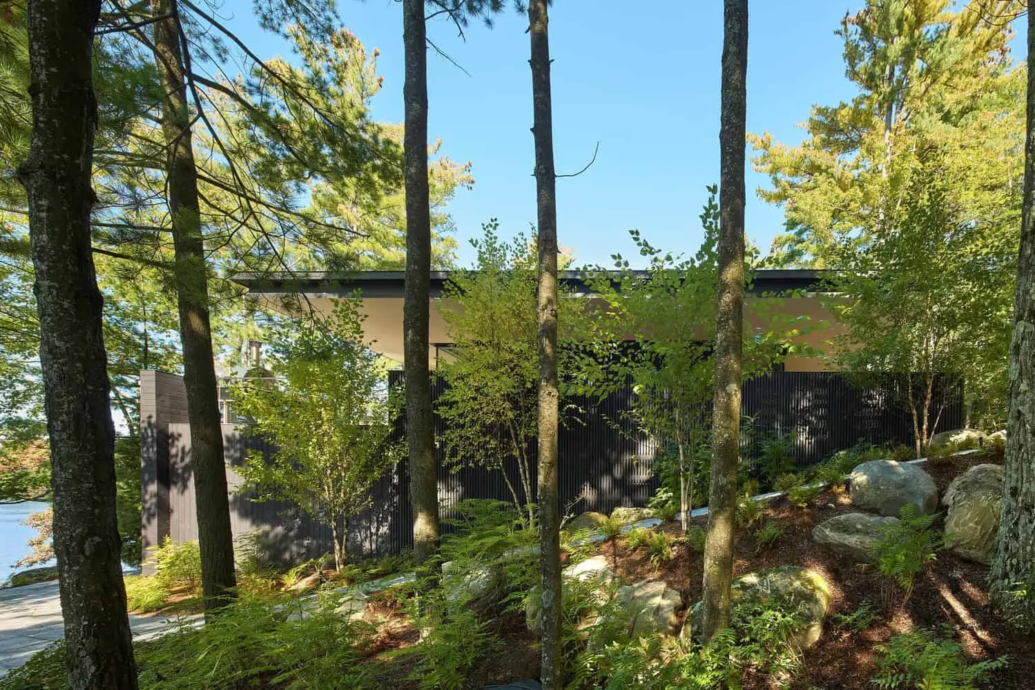 Side Facade of Sagamore North Cottage by Akb Architects, Framed by Forest in Mask