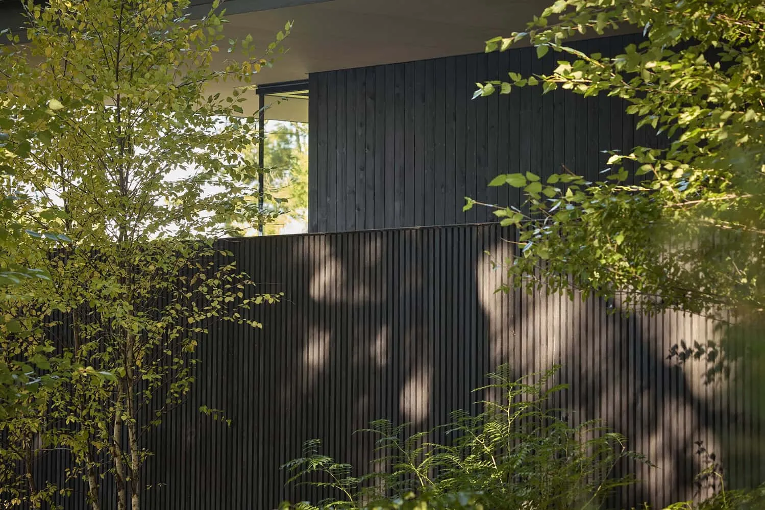 Detail of Smoke-Toned Wood Cladding of Sagamore North Cottage by Akb Architects in Mask