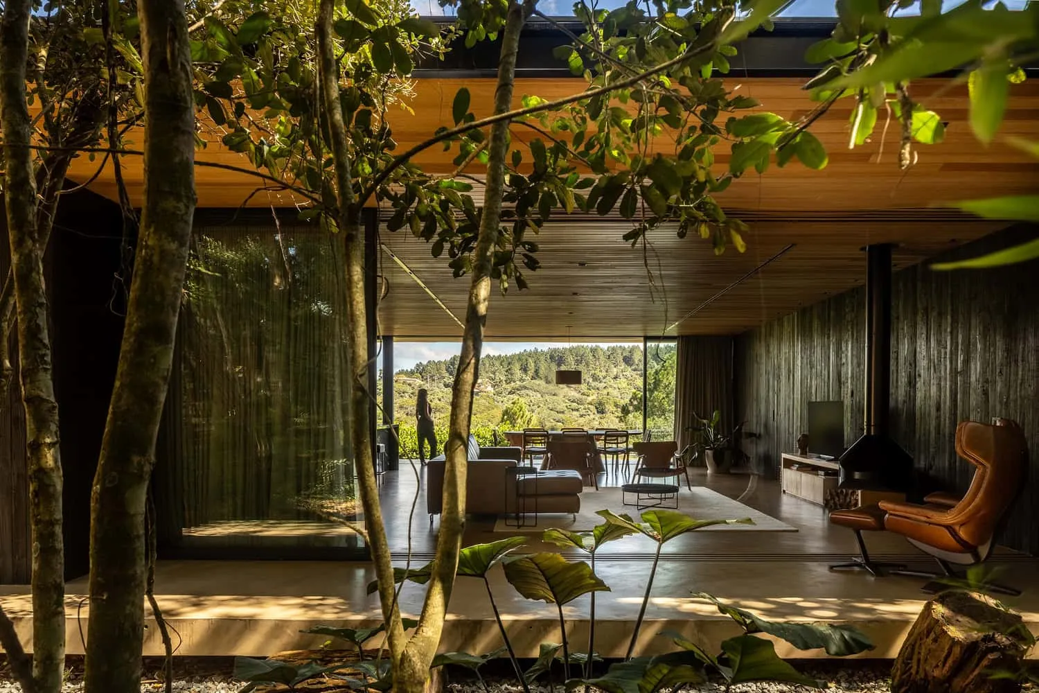 258号住宅——客厅望向森林，圣罗克，圣保罗州，巴西