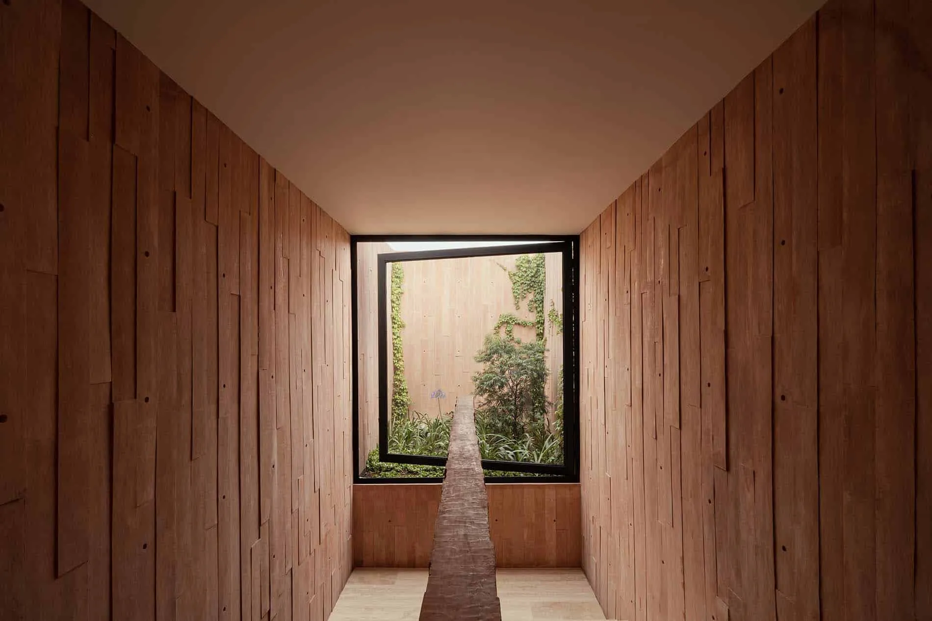 卢哈米博住宅的花园，由Jorge Garibay Arquitectos设计——墨西哥胡里基拉的大窗户与景观